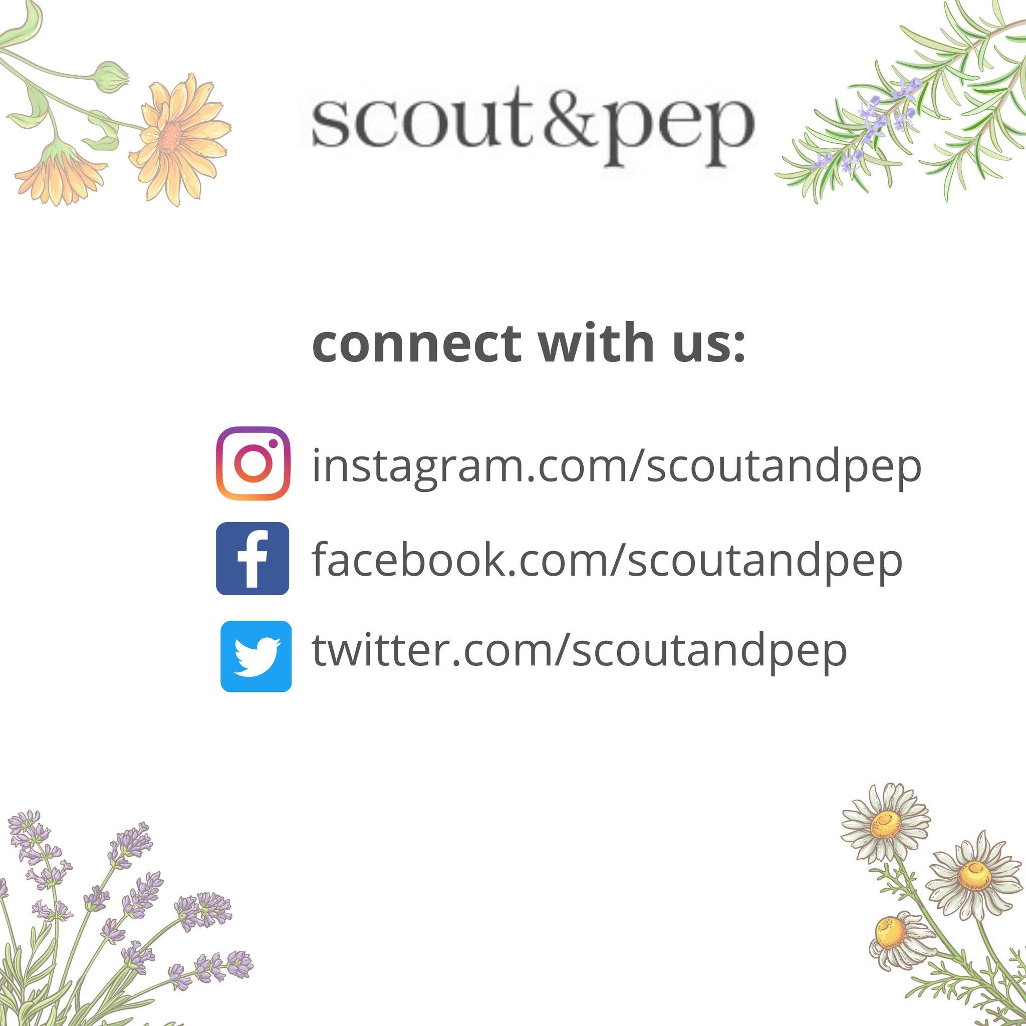 Scout & Pep social media icons with floral illustrations, white background, and text links