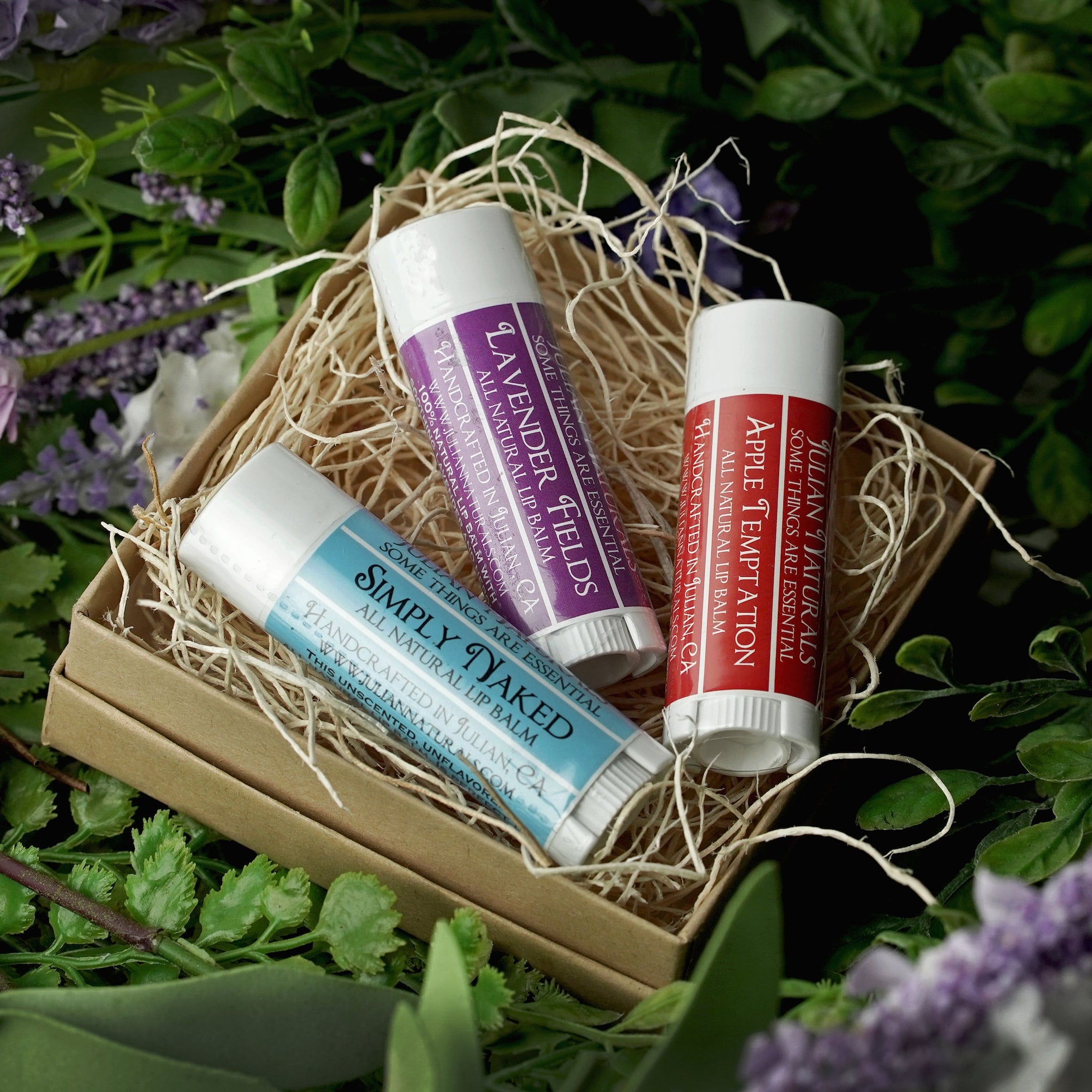 Lip balm gift set with white tubes, colorful labels, and Julian Naturals brand name in a gift box
