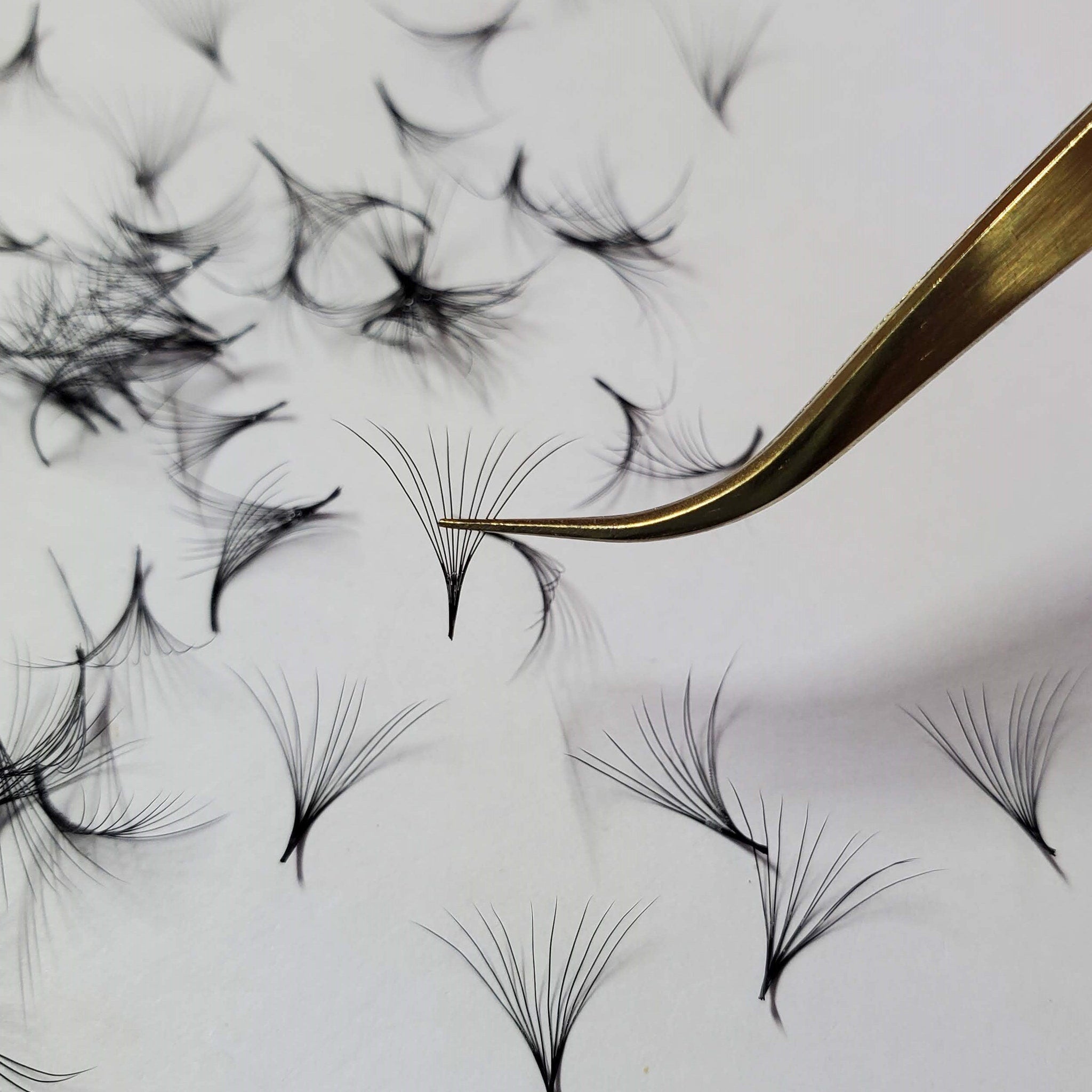 Eyelash extensions, black synthetic, fan style, held by gold tweezers