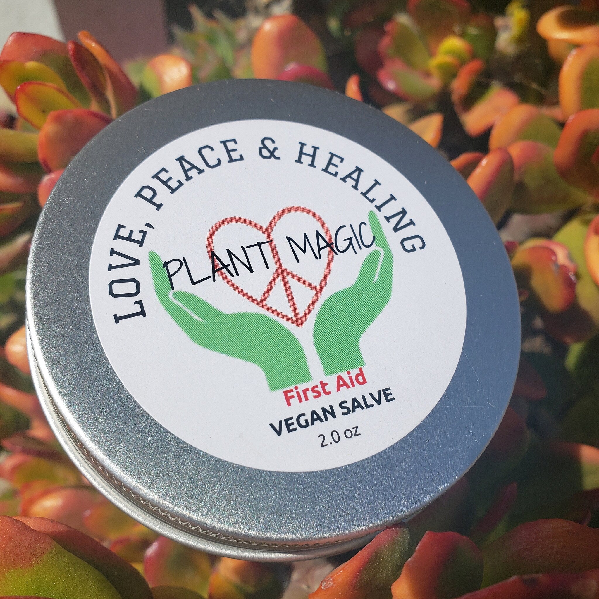 Vegan salve tin with silver metal, white label, and Plant Magic text, on succulent background