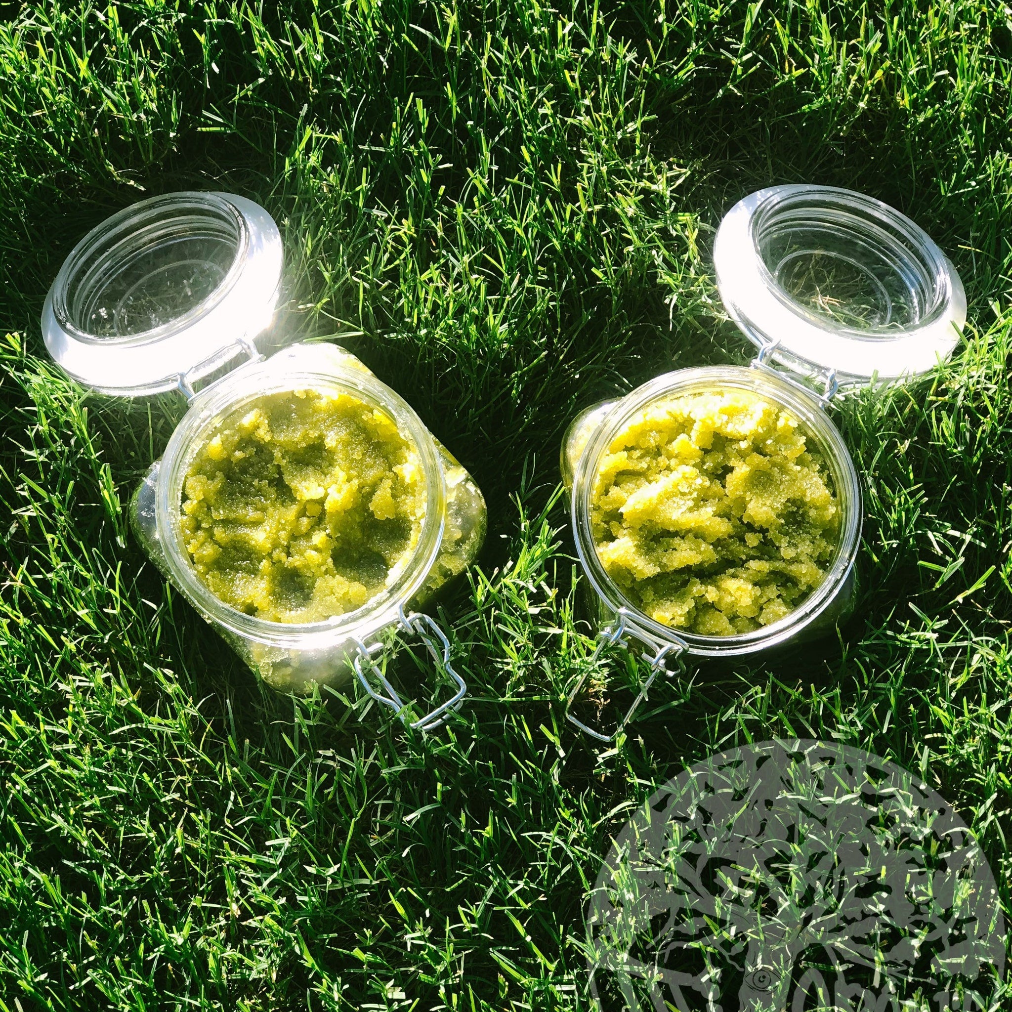Green scrub in clear glass jars with silver metal clasps on green grass