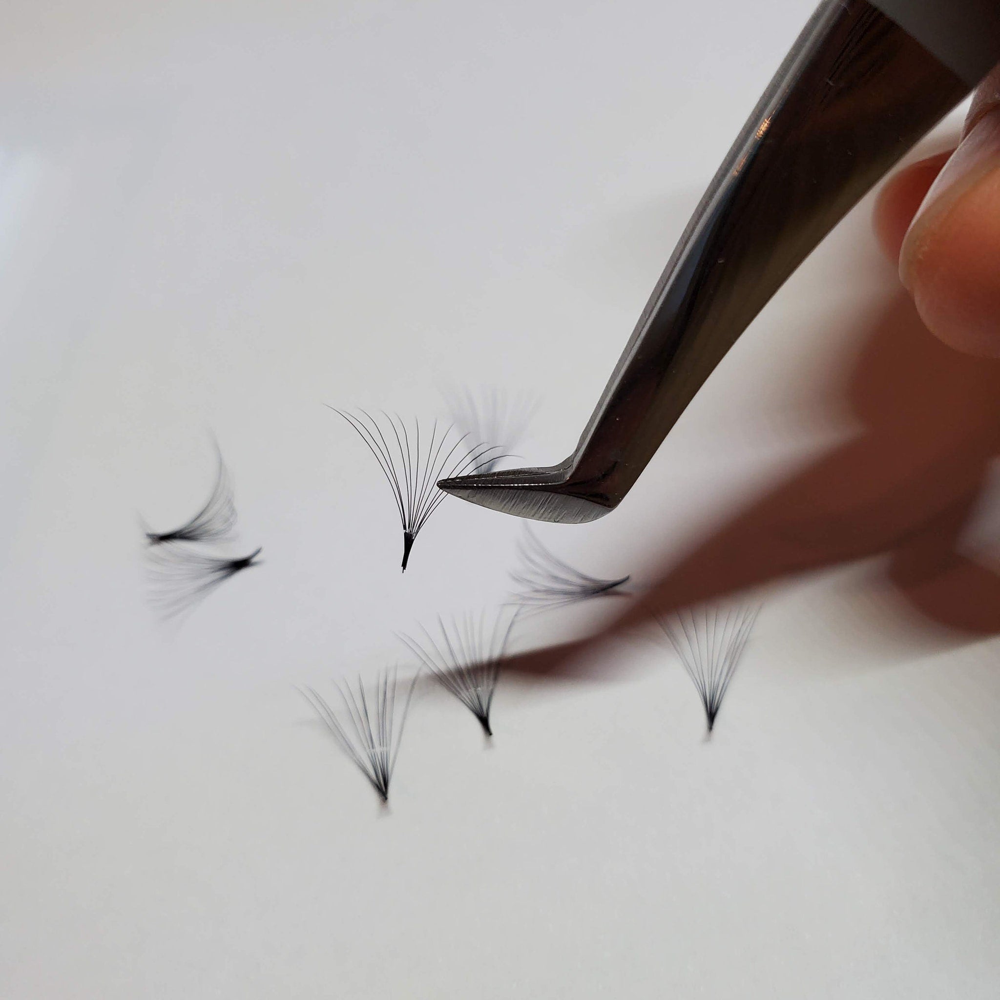 Eyelash extensions being held by silver tweezers on white surface, black lashes fanned out