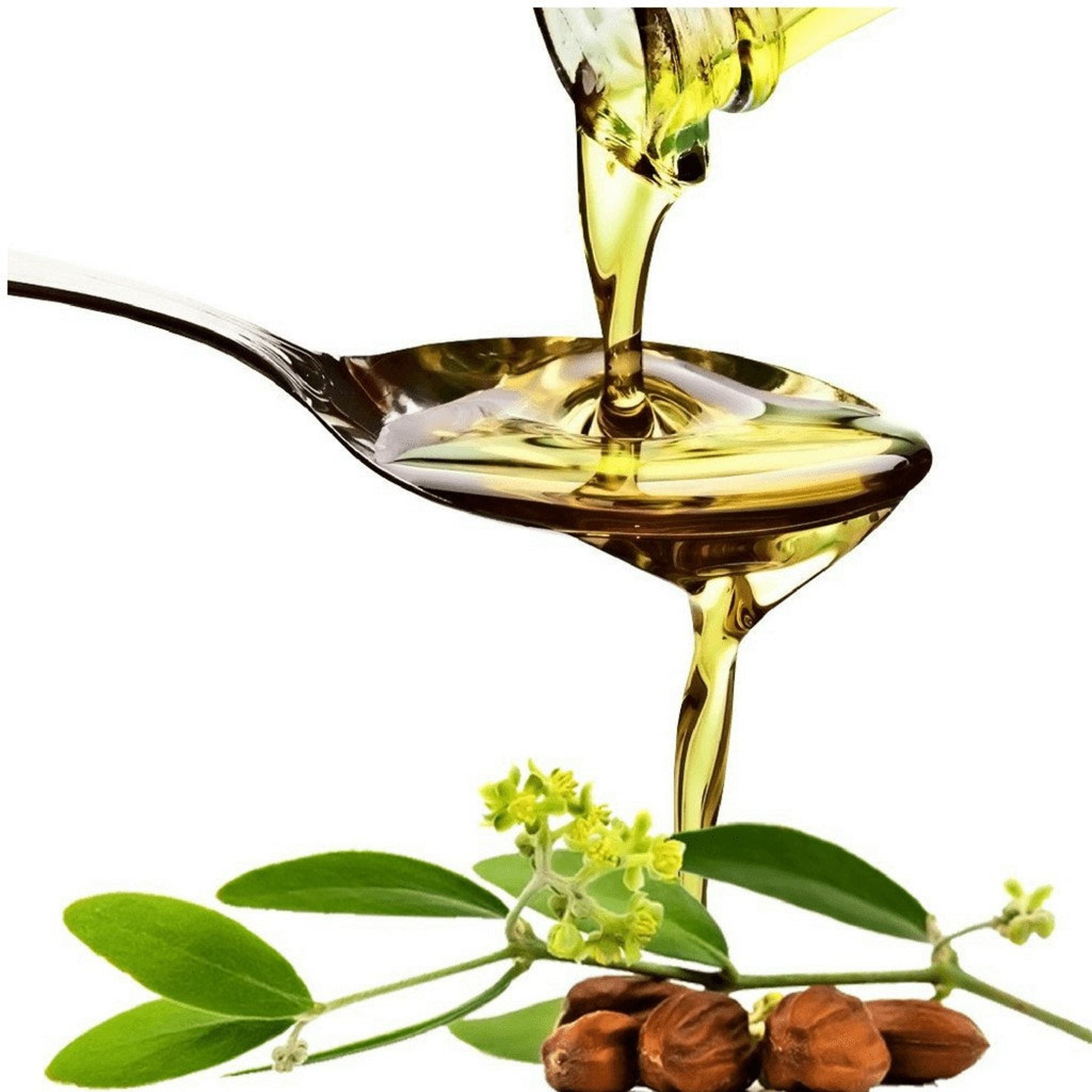 Jojoba oil pouring from spoon, clear yellow liquid, brown spoon, green leaves and seeds