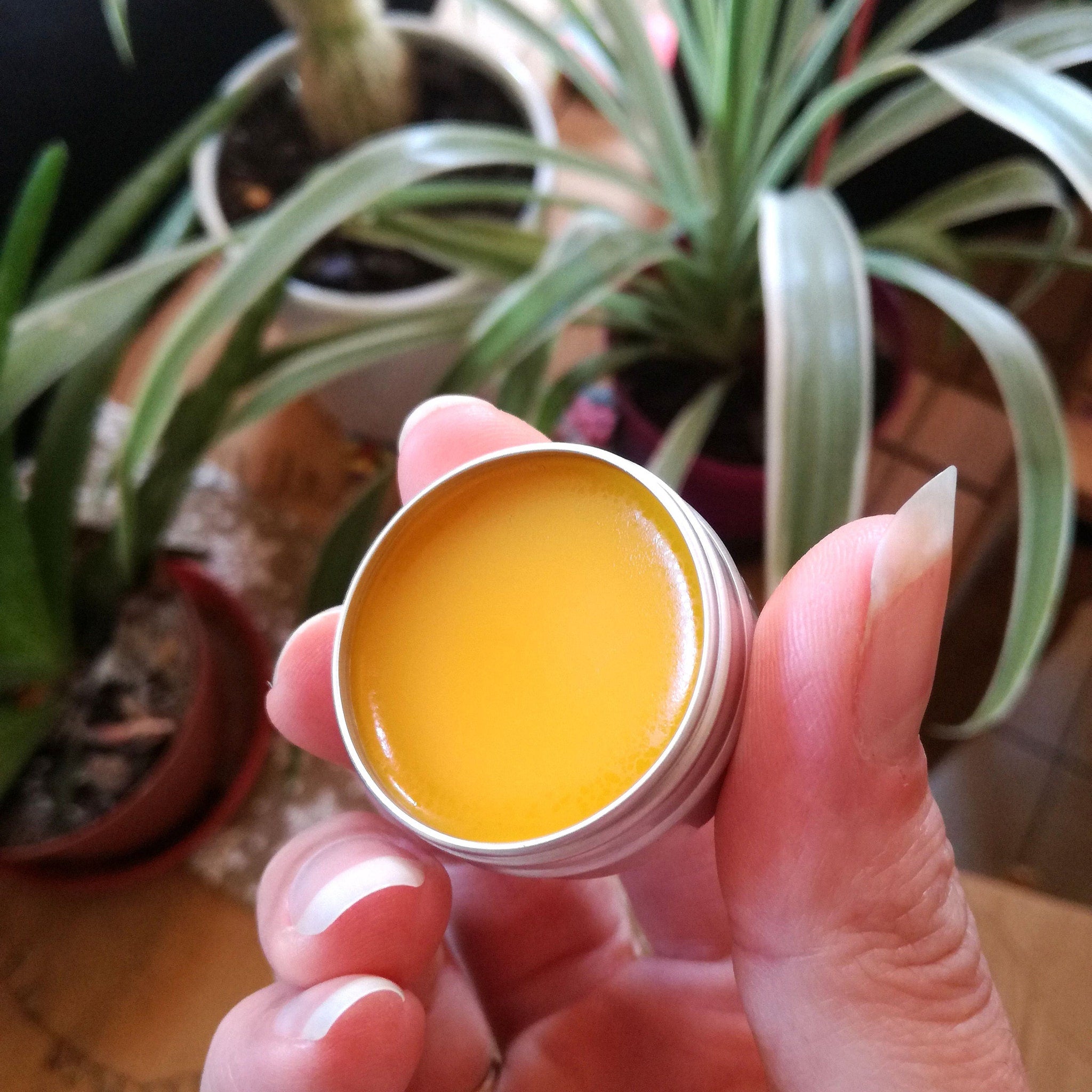 Lip balm in silver tin with yellow balm, held by hand, with plants in background