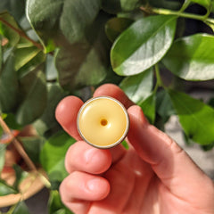 Lip balm, yellow balm with a metal rim, held in hand near green leaves