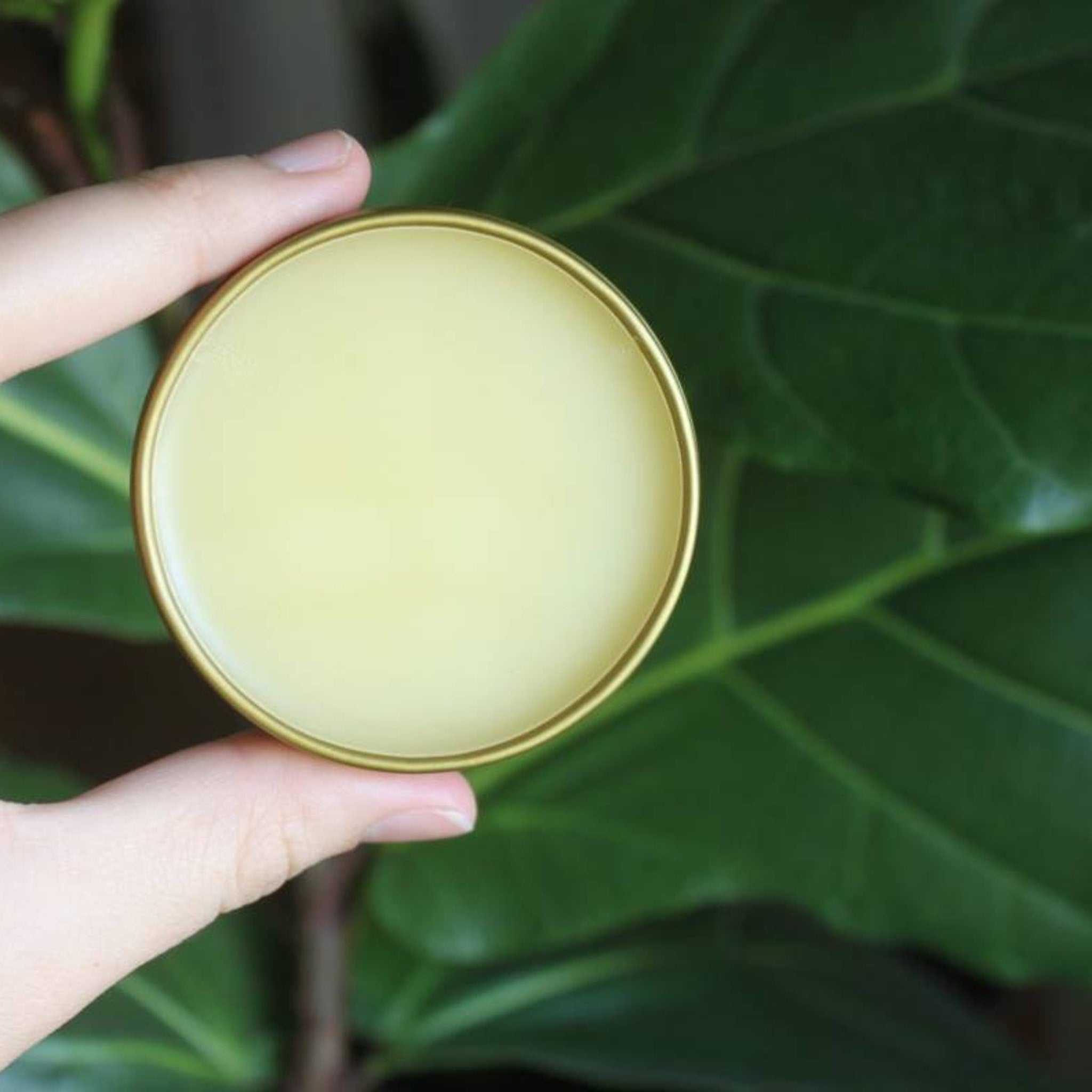 Yellow balm in gold metal tin held by hand, with green leaf background