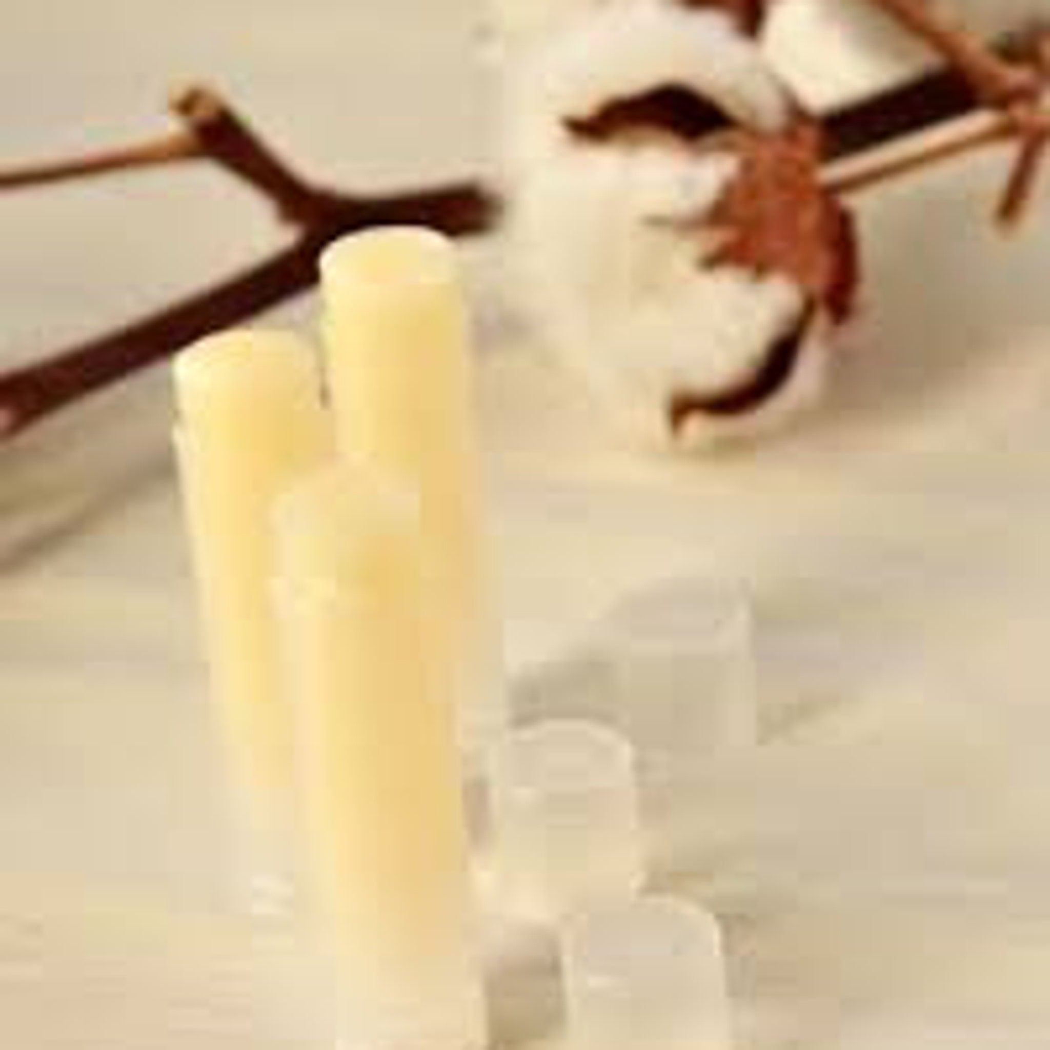 Lip balm sticks, light yellow, cylindrical shape, with clear caps and cotton branch in background
