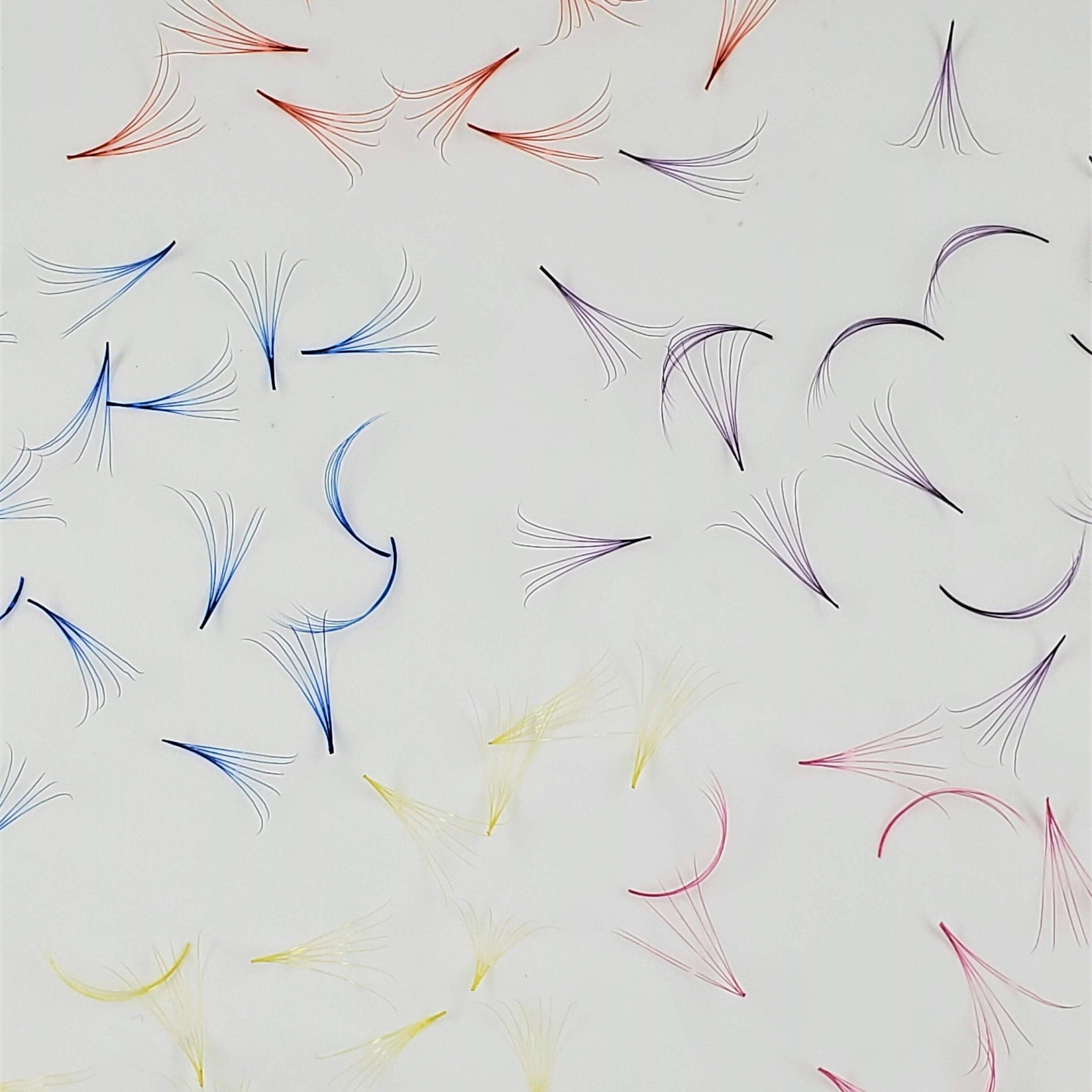 Colored lash extensions in red, blue, purple, and yellow, on white background, Kimeyelashes