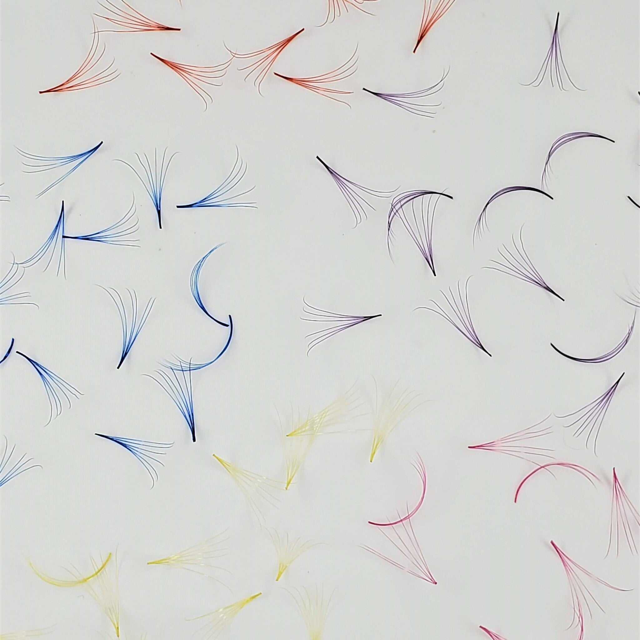 Colored eyelash extensions in various colors, fan style, on white background