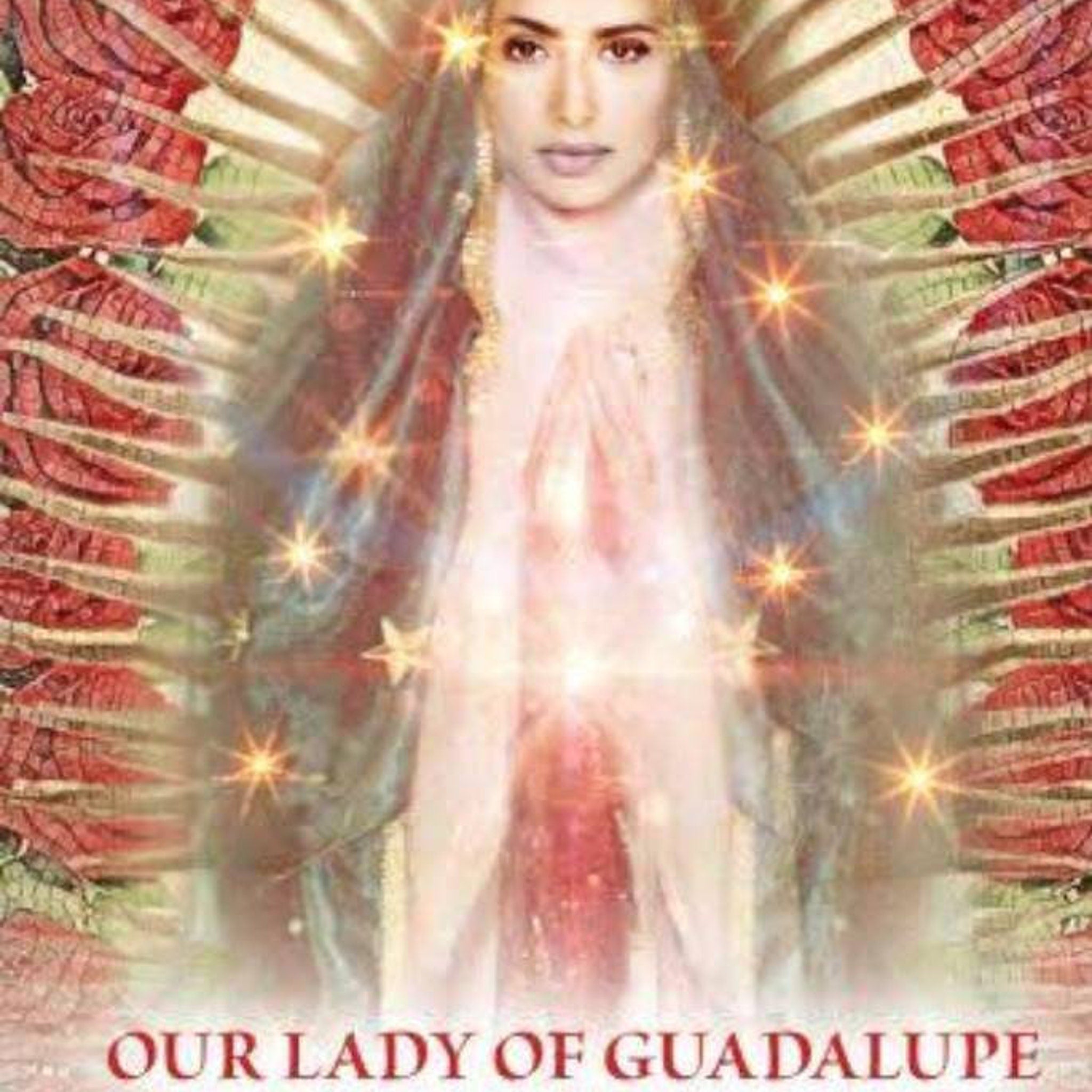 Our Lady of Guadalupe image with red rose pattern and starburst highlights