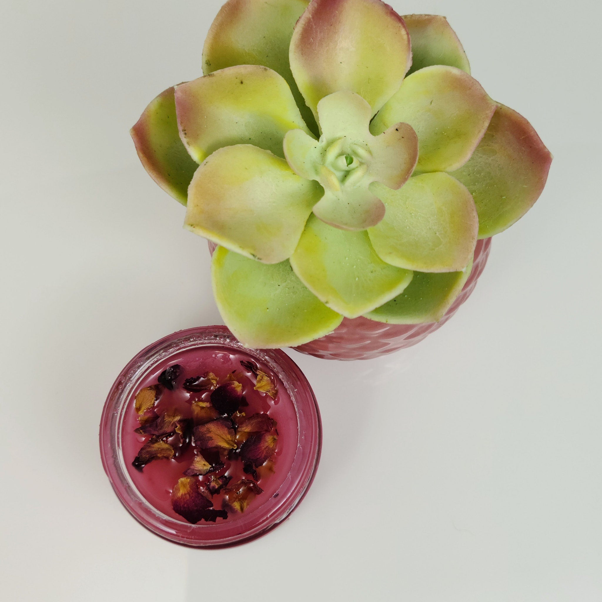 Succulent plant with green and red leaves next to pink candle with rose petals