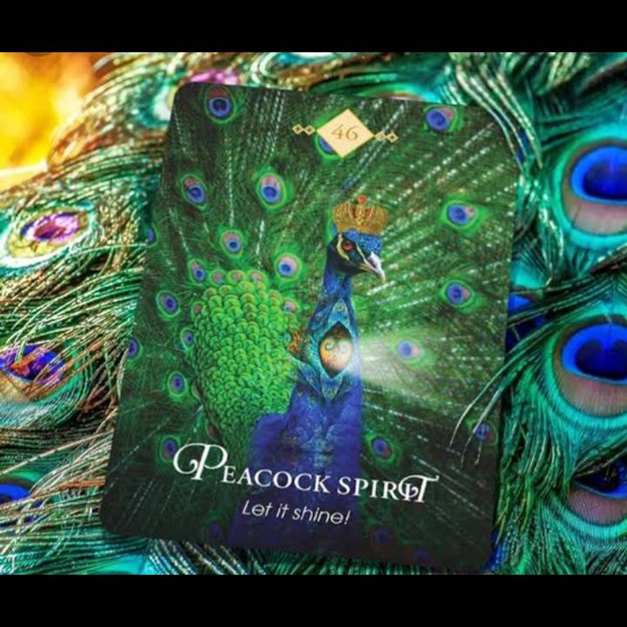 Side view of peacock-inspired eyeshadow palette showing shimmering blue and green shades with intricate feather design