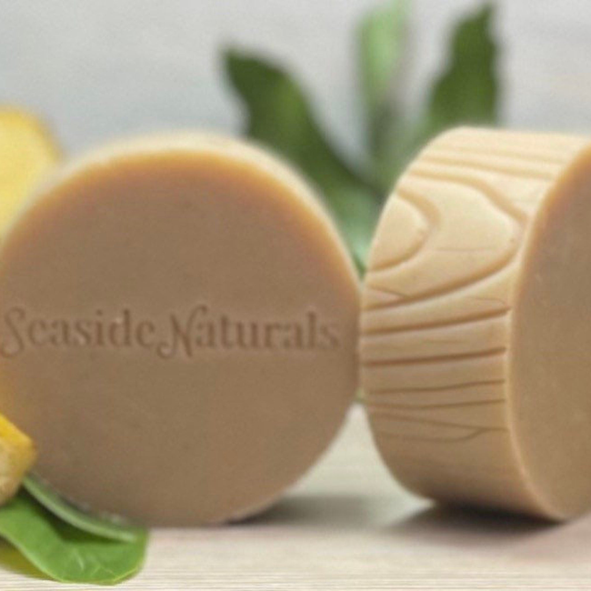 Soap bars with light brown color and Seaside Naturals text, with wood grain pattern on side