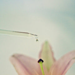 Dropper with clear glass tube and liquid drop, blurred pink flower in background