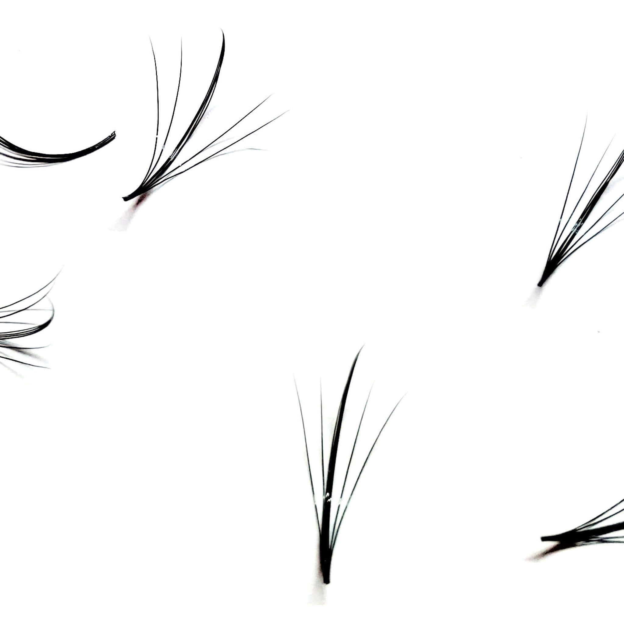 Eyelash extensions, black synthetic fiber, multiple clusters, isolated on white background