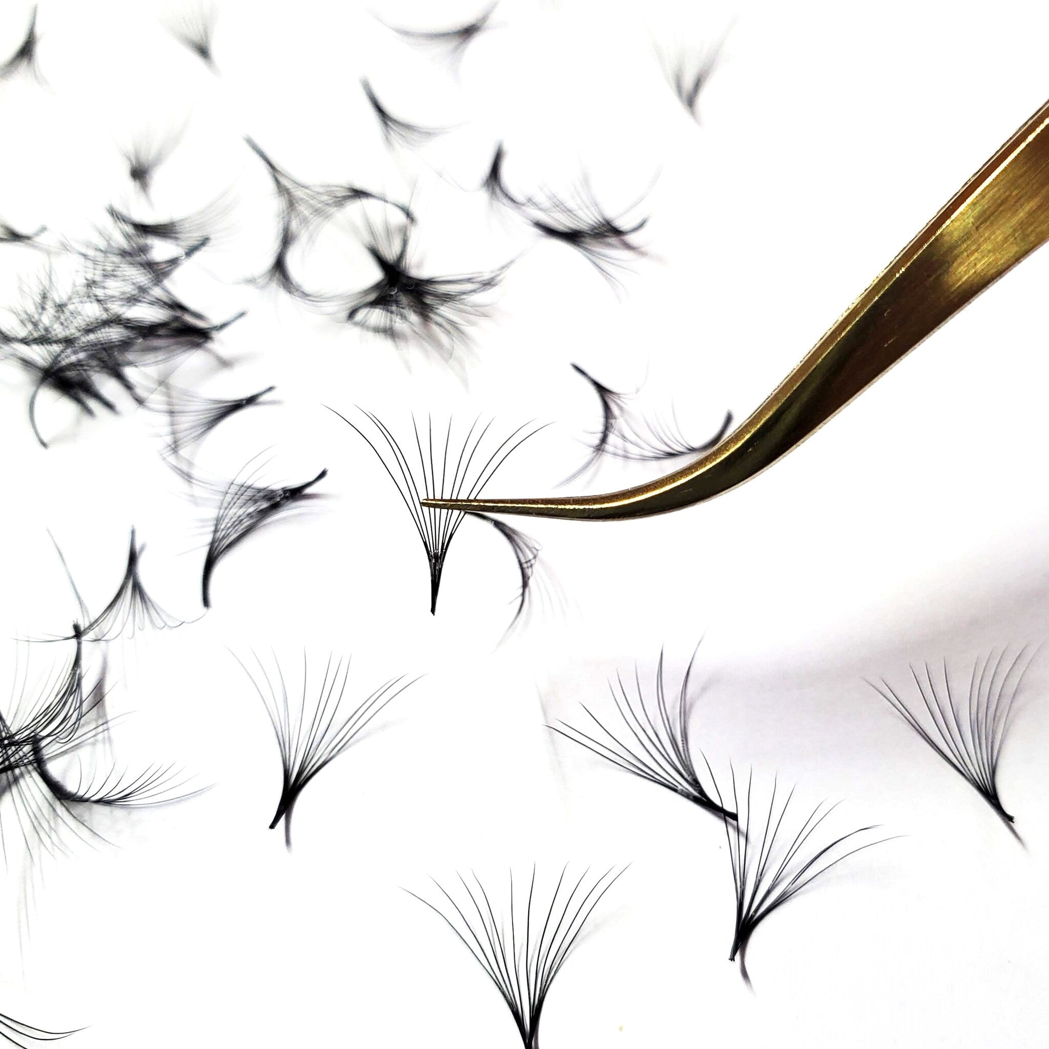 Eyelash extensions black clustered lashes with gold tweezers on white background