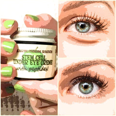 Under eye creme jar with white lid, green apple logo, and text "Stem Cell Under Eye Creme