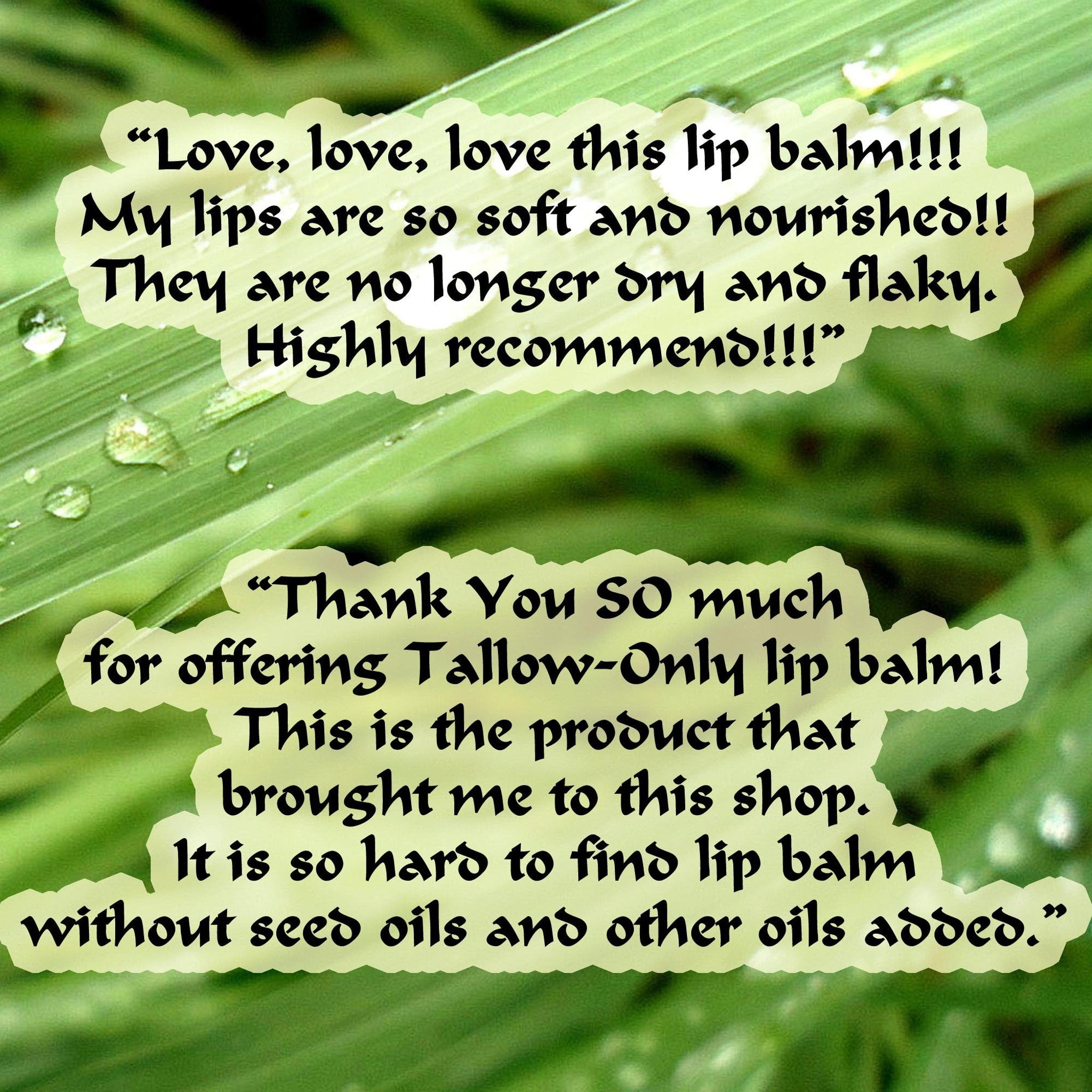 Lip balm review on green leaf background with white text bubbles and water droplets