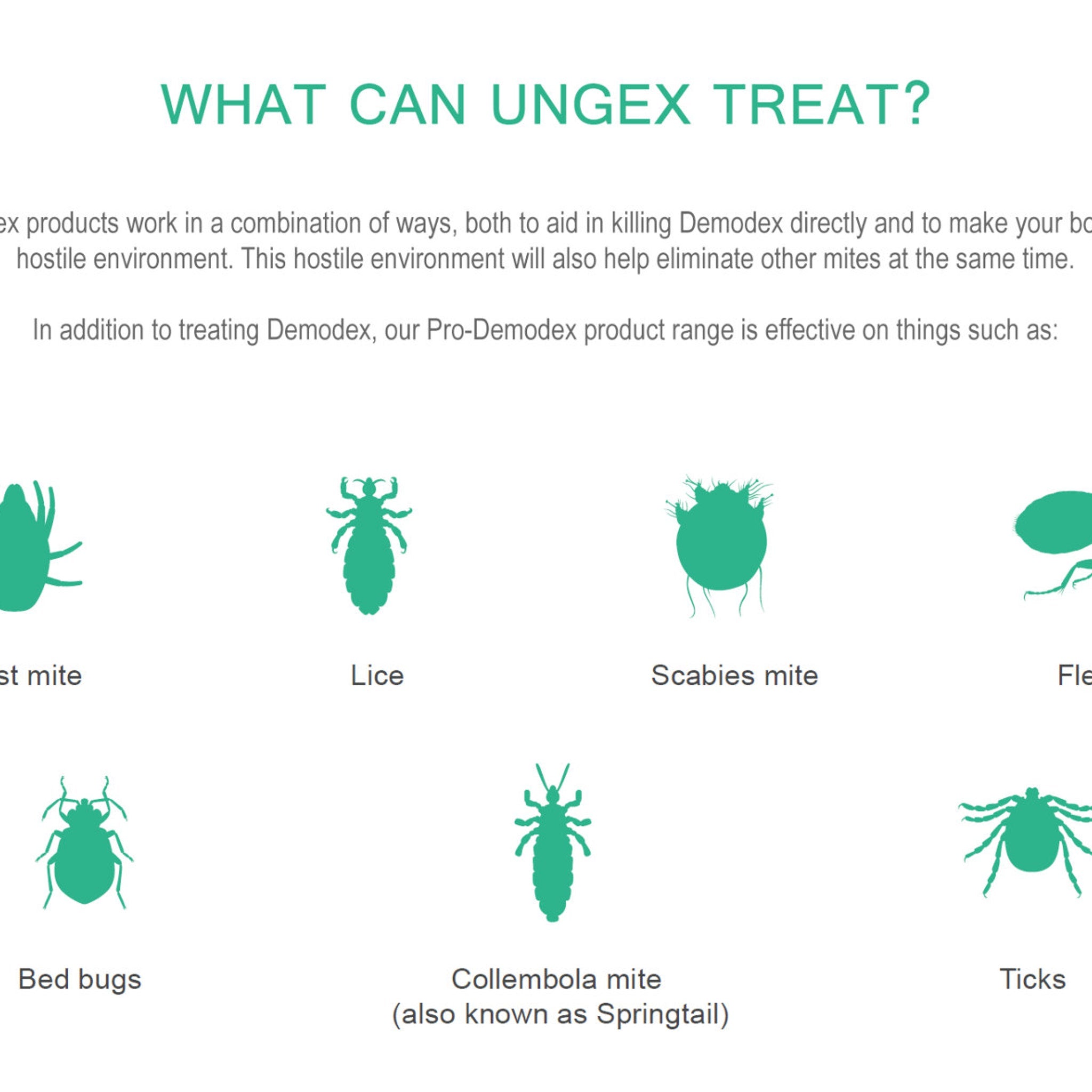 Ungex treatment list with green insect illustrations and white background, text: WHAT CAN UNGEX TREAT?