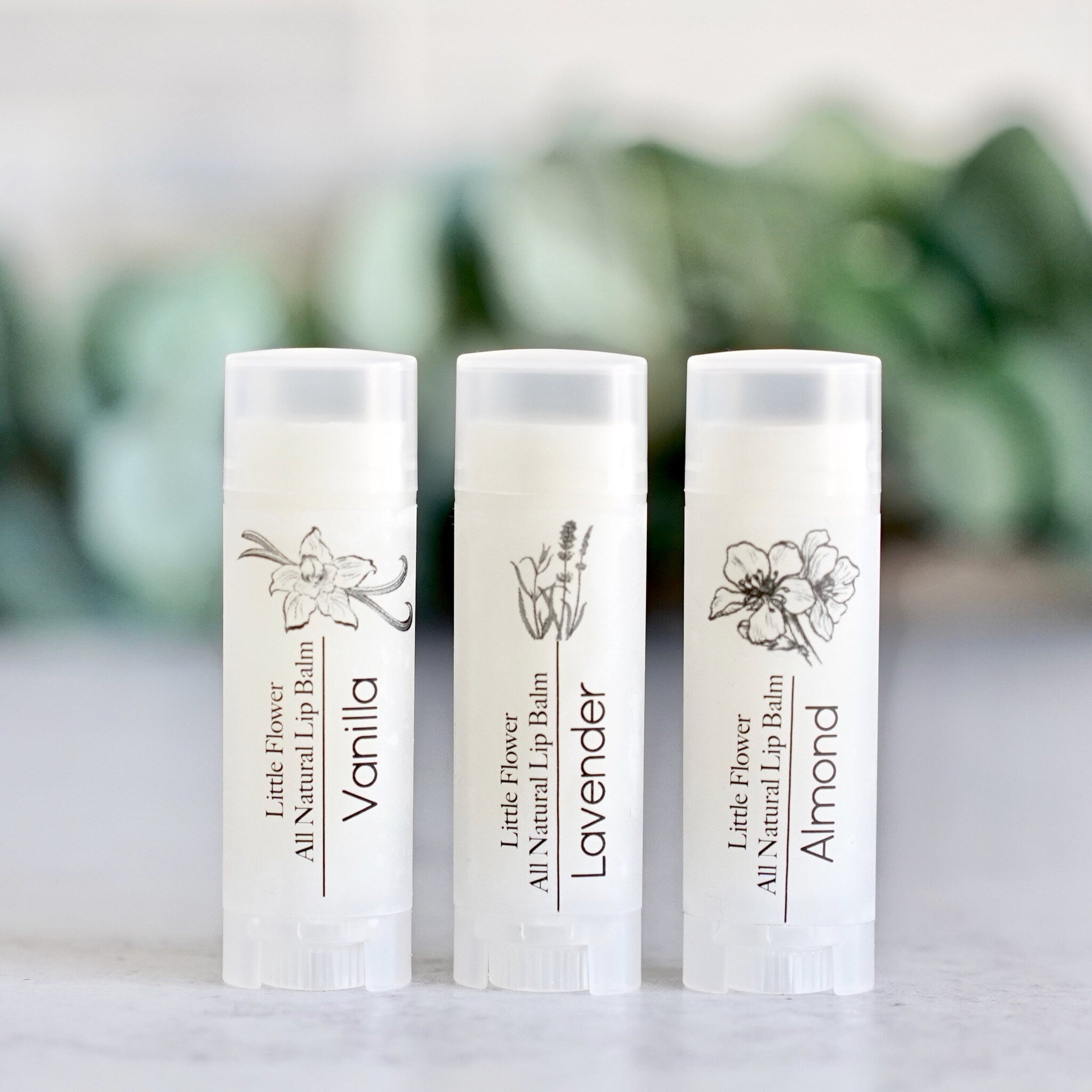 Lip balm tubes with white labels, floral illustrations, and brand text, three flavors