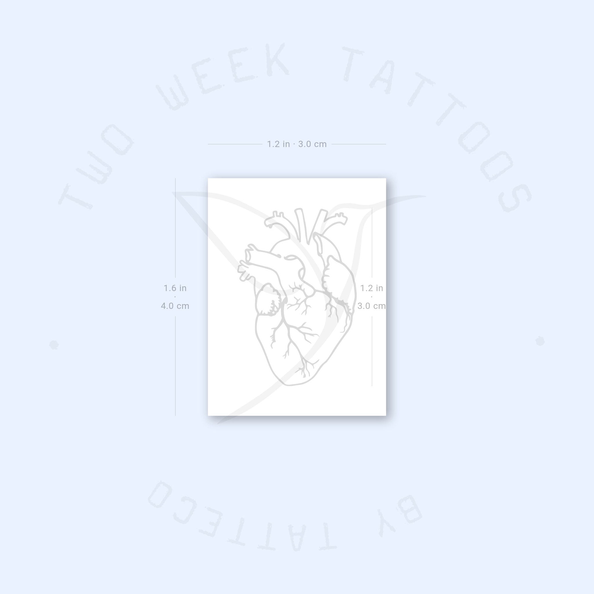Close-up of semi-permanent heart tattoo set showing intricate anatomical details and realistic shading on skin