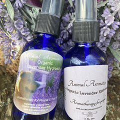 Organic Lavender Hydrosol, blue glass bottles with black spray tops, Animal Aromatics label visible