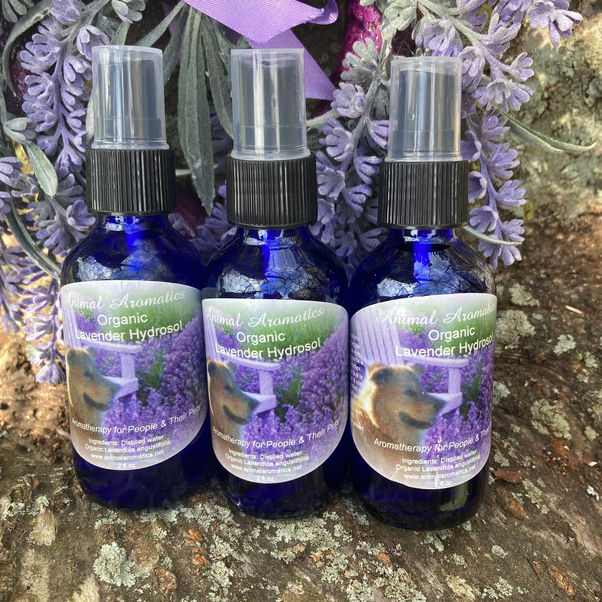 Lavender hydrosol bottles, blue glass with black cap, Animal Aromatics label