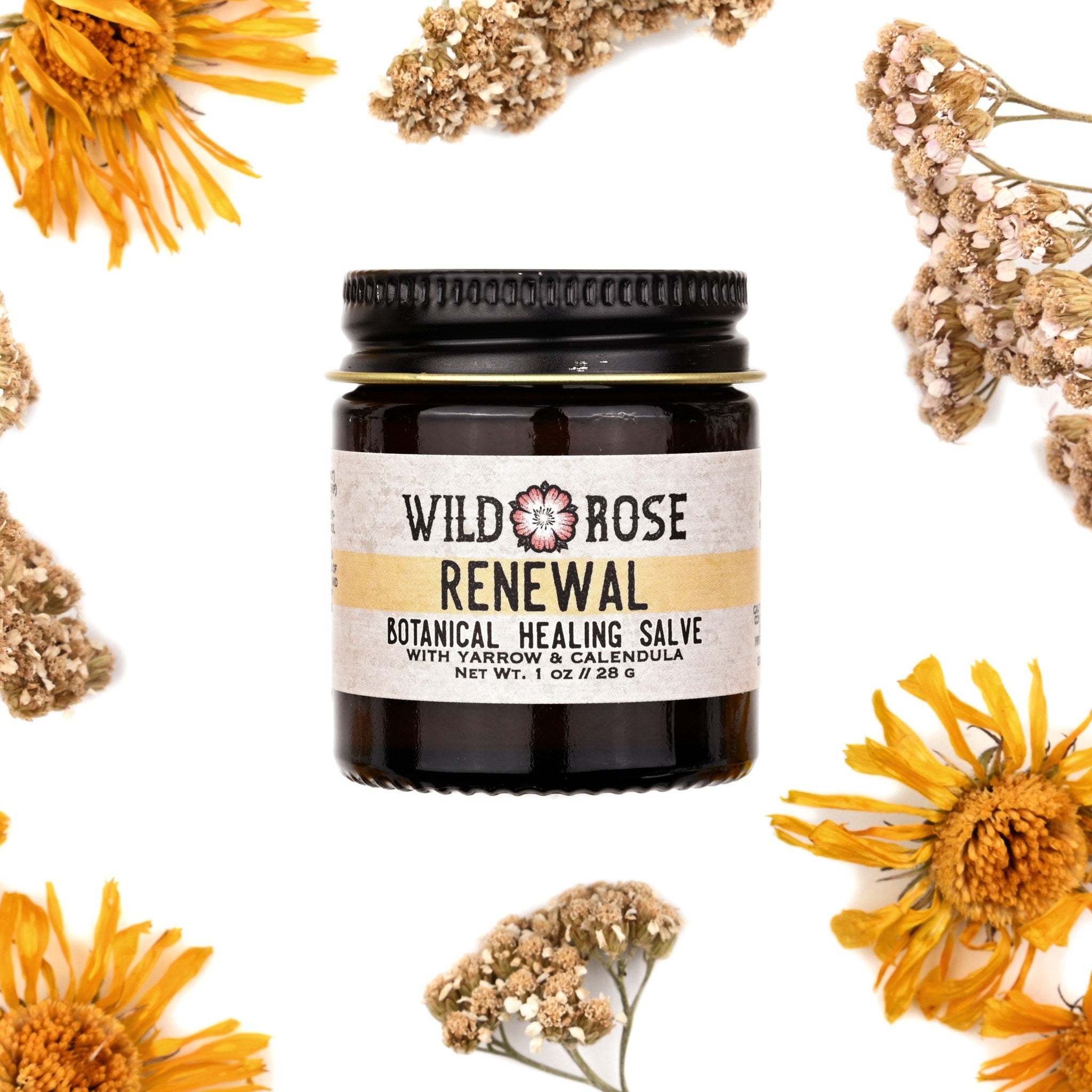 Skin care salve jar, brown glass, black lid, Wild Rose label, surrounded by dried flowers