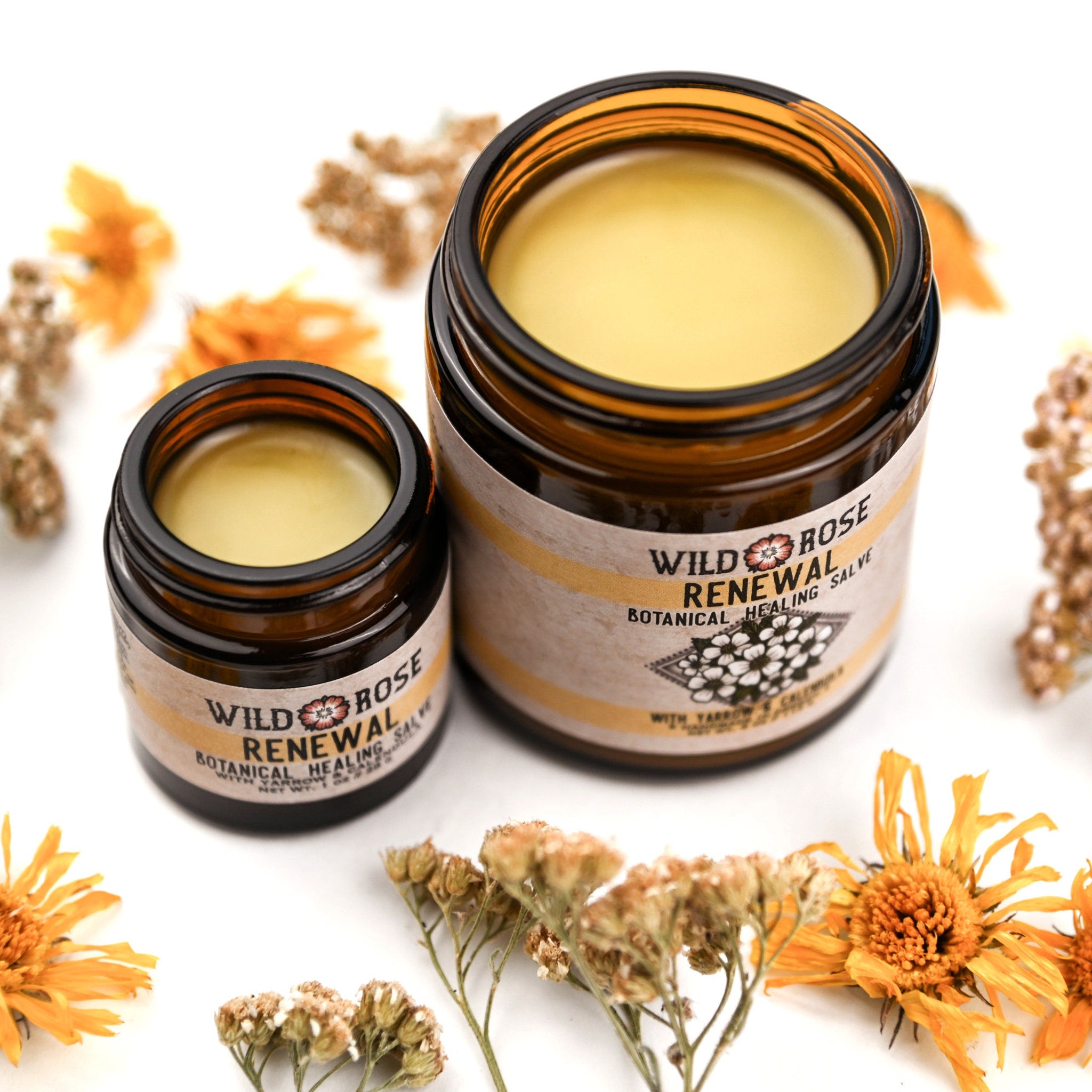 Salve in brown glass jars with yellow contents, Wild Rose Renewal branding, and dried flowers around