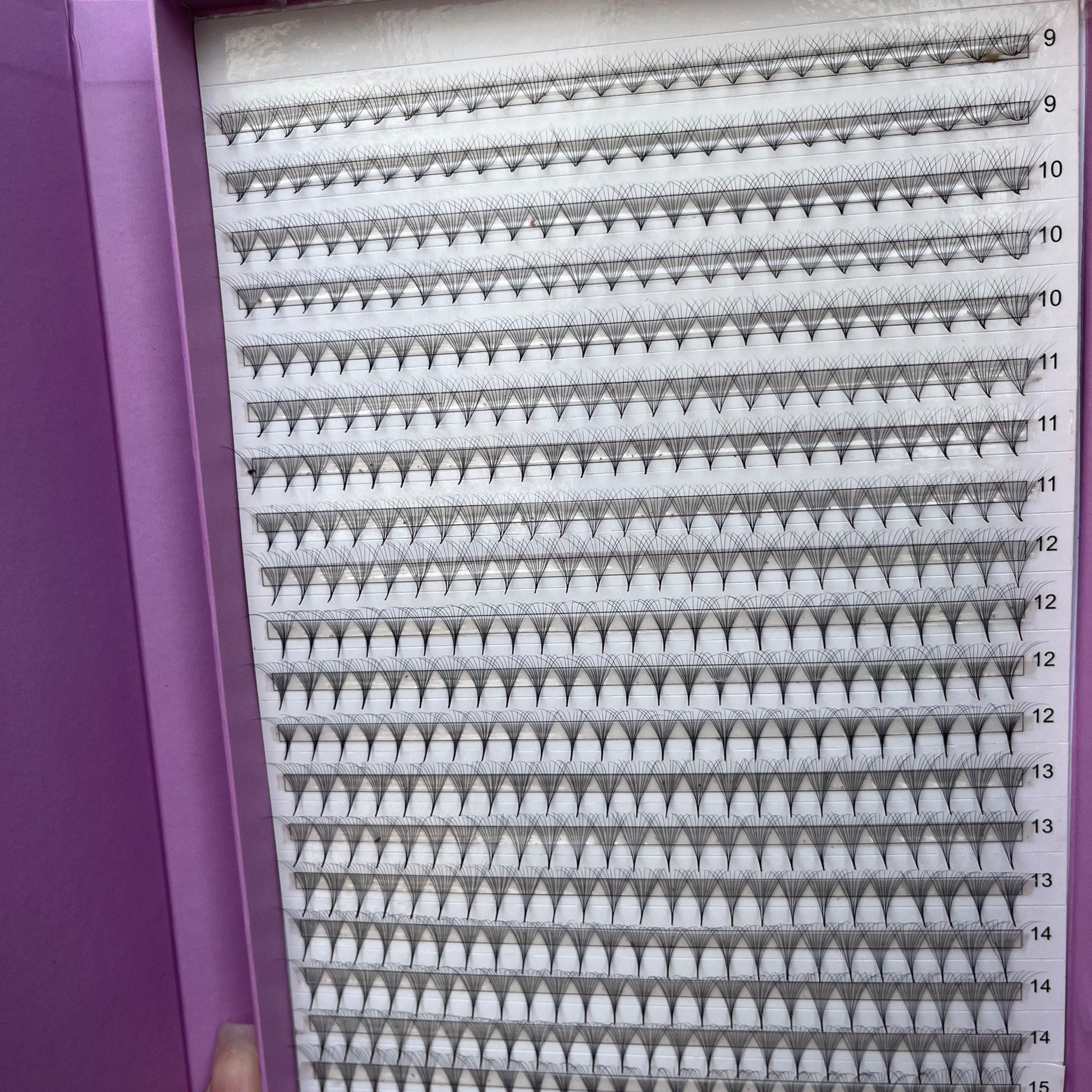Eyelash extensions in black, fan style, arranged in rows by length, inside a purple case