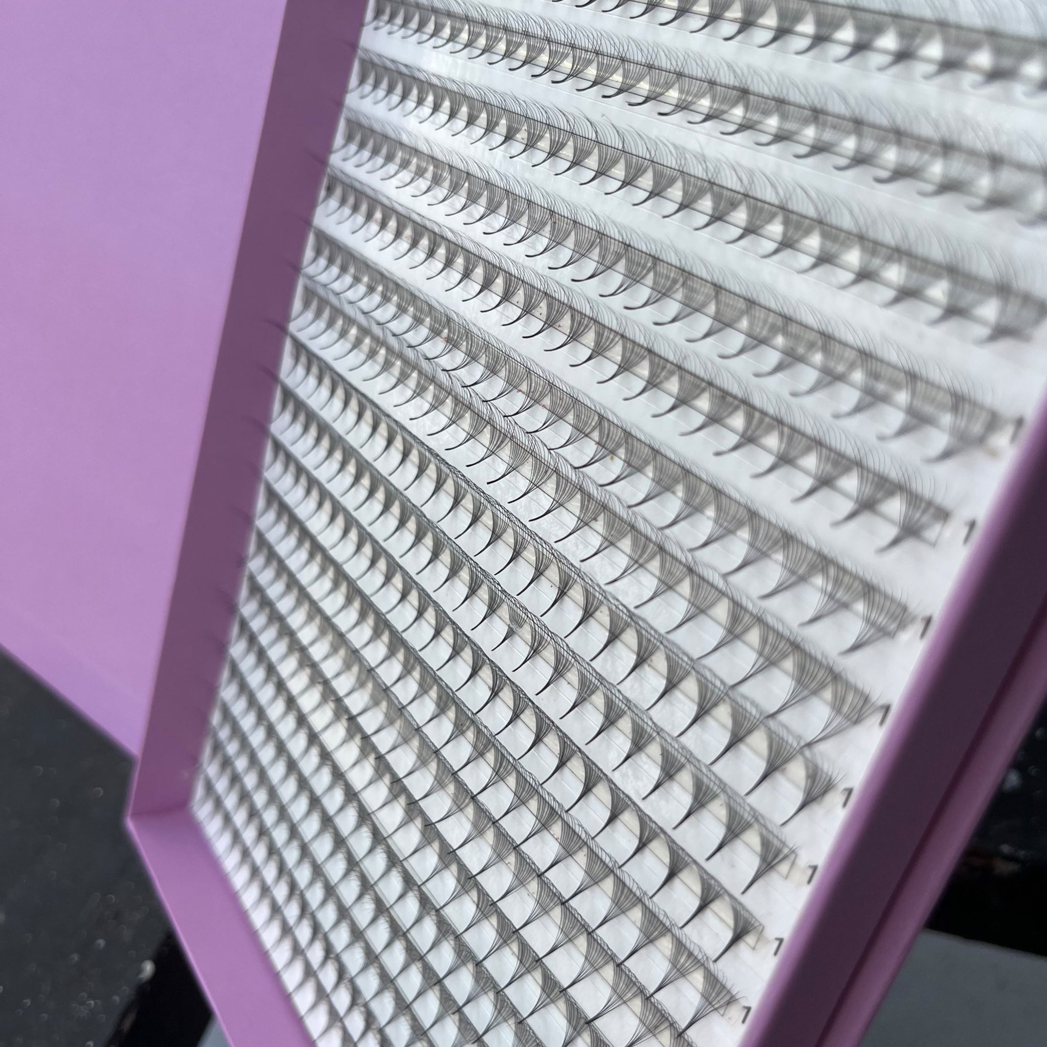 Eyelash extensions in black, arranged in rows on white backing, in a purple tray