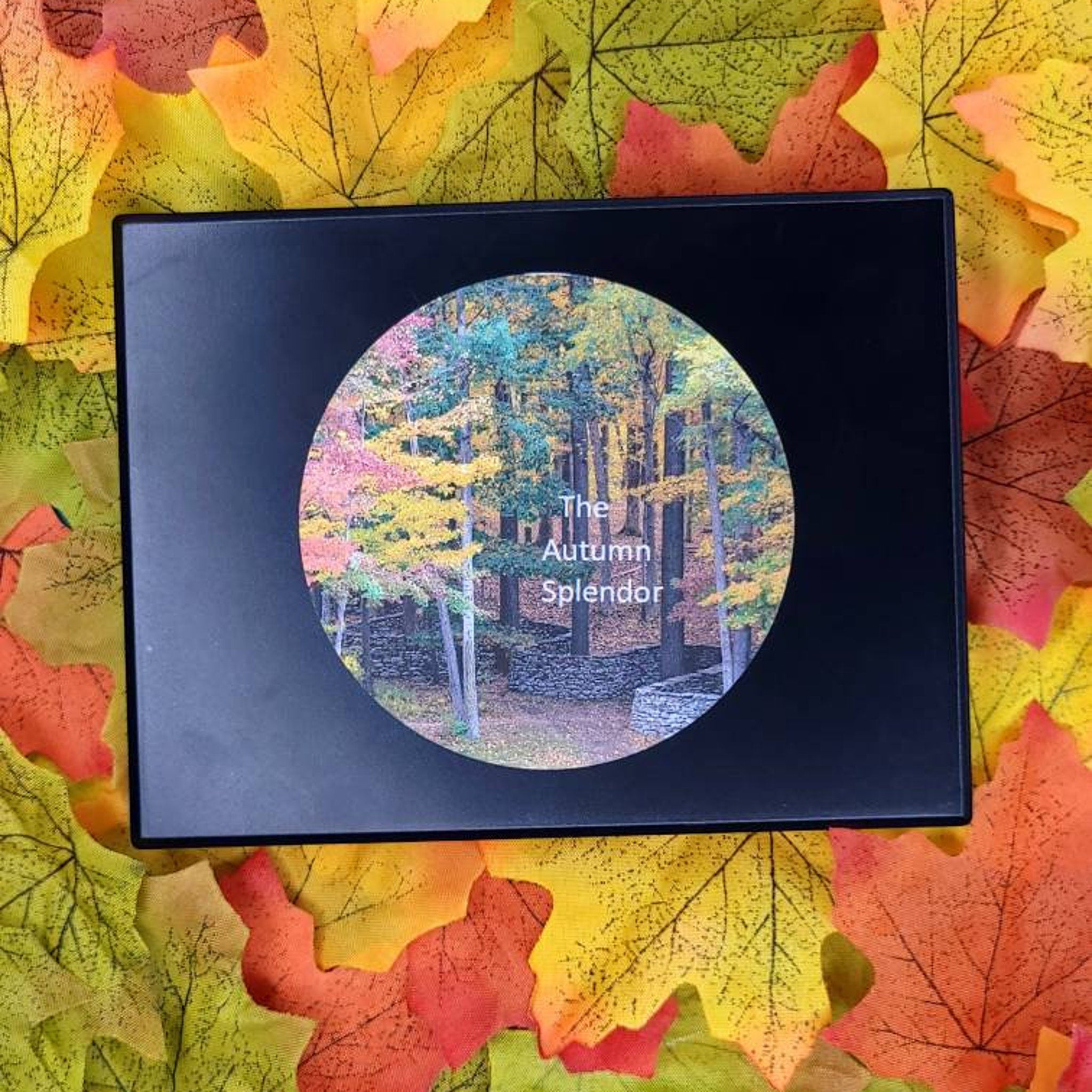 Close-up of Autumn Splendor eyeshadow palette showing vibrant matte orange and shimmery green shades