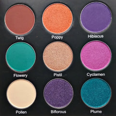 Eyeshadow palette with multiple colors, including purple, orange, and green, in round pans on black background