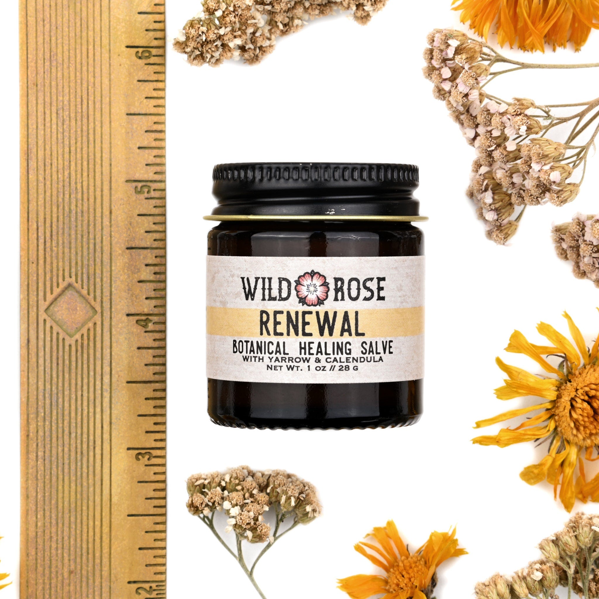 Healing salve jar with black lid, Wild Rose label, and dried flowers on white background