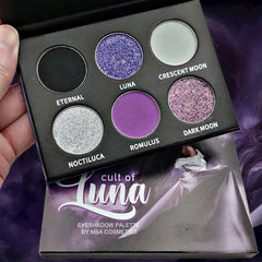 Close-up of a makeup brush applying shimmery taupe eyeshadow from the Luna palette onto eyelid