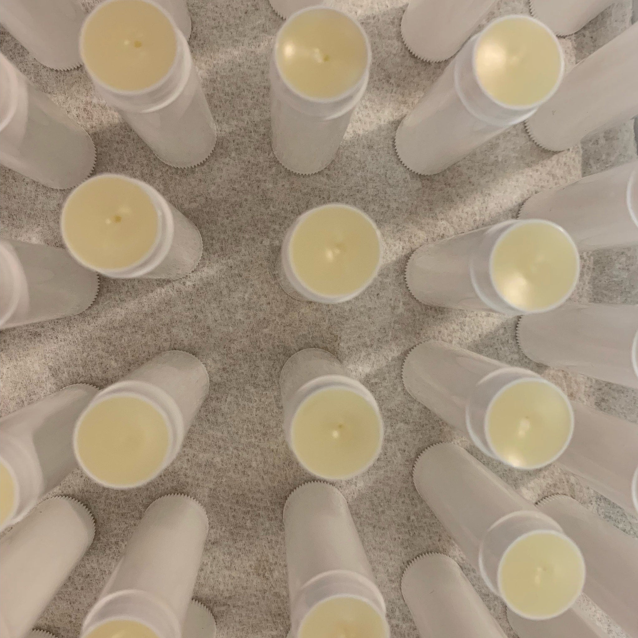 Lip balm tubes with white plastic casing and light yellow balm on gray surface.