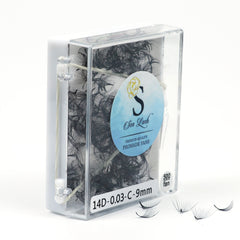 Promade fans in clear plastic case with black lashes and Sen Lash label
