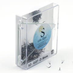 Eyelash extensions in clear plastic case with black lashes and Sen Lash label