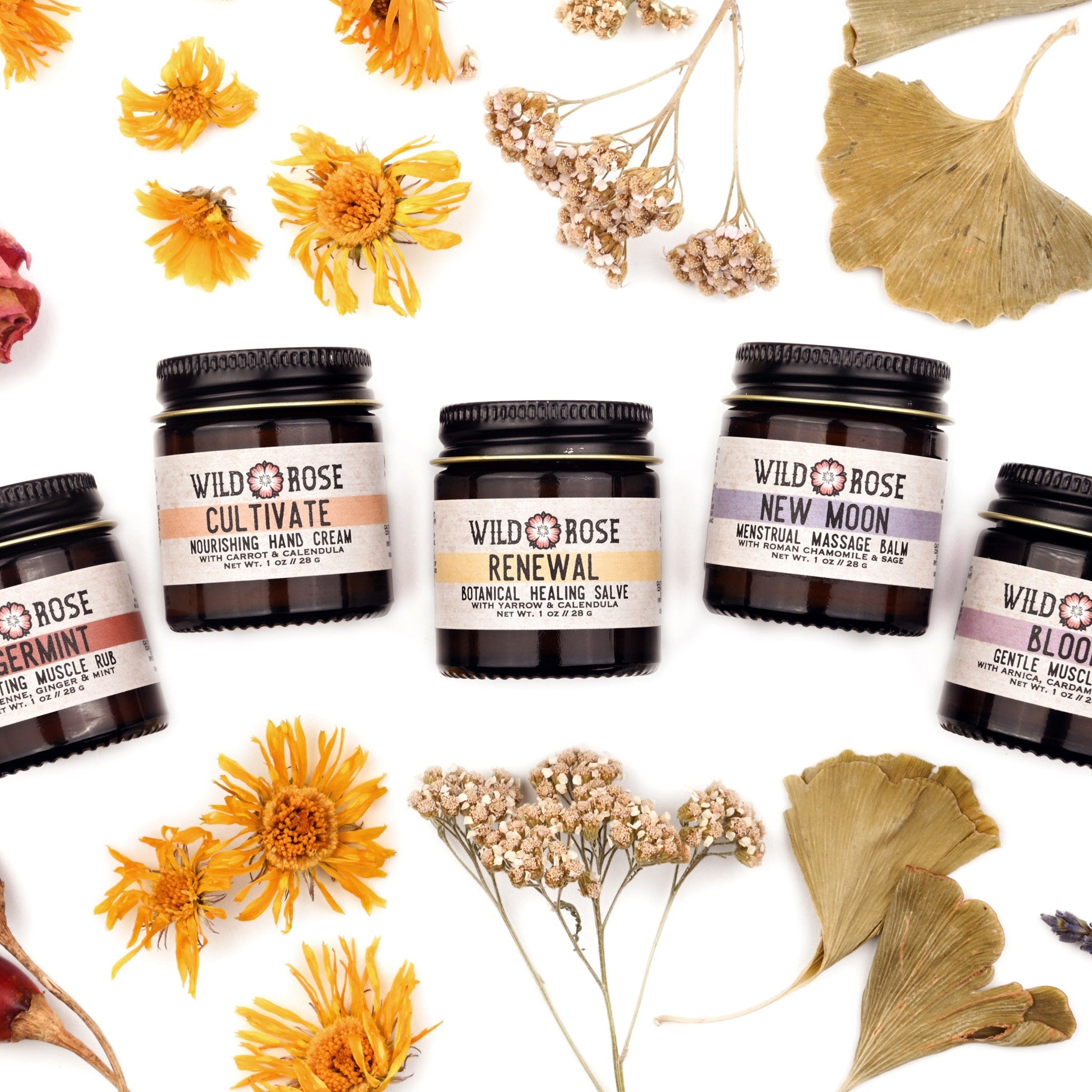 Herbal salves in brown glass jars with black lids, surrounded by dried flowers and leaves, Wild Rose brand
