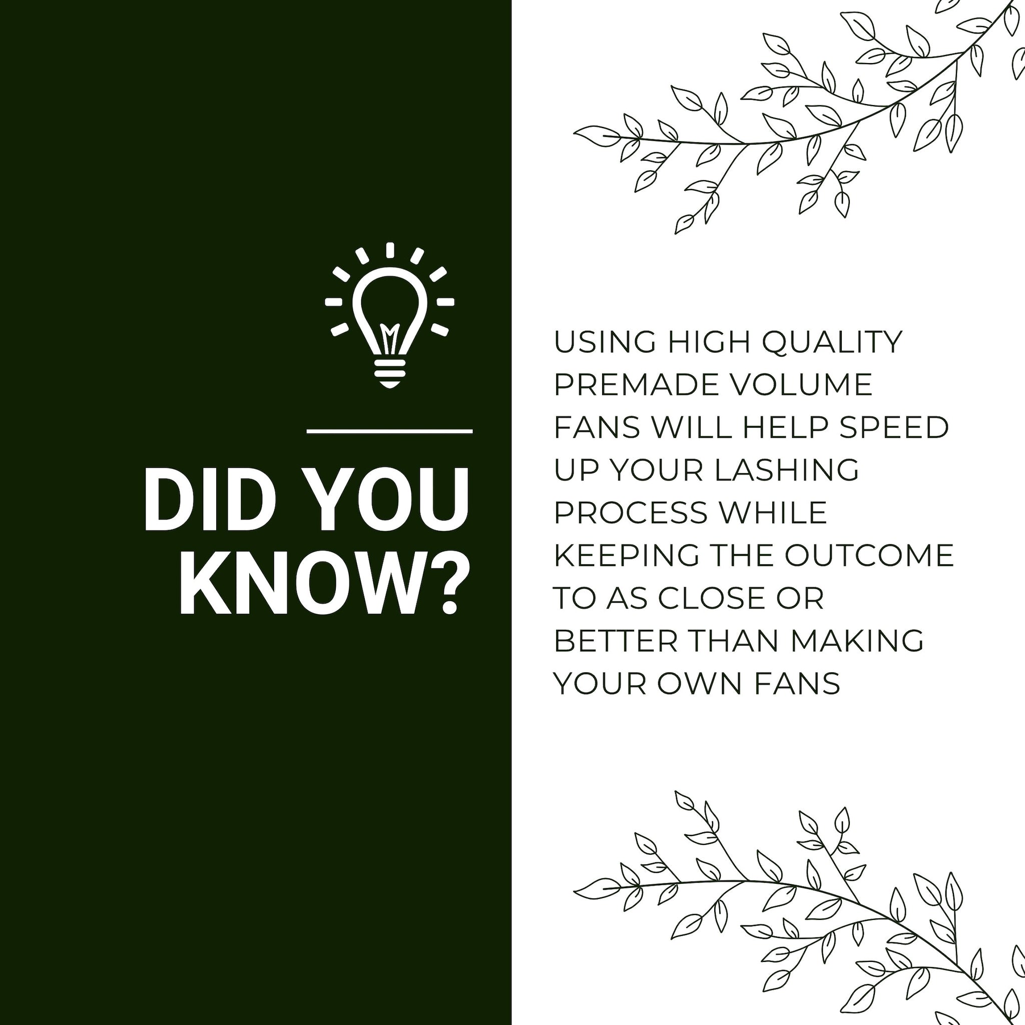 Text graphic with white text on a dark green background, lightbulb icon, and botanical line art