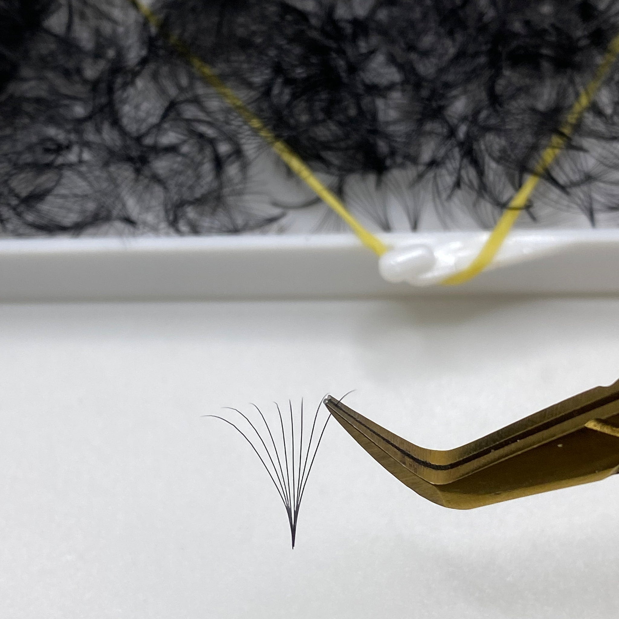 Eyelash extensions black clustered lashes with gold tweezers on white surface