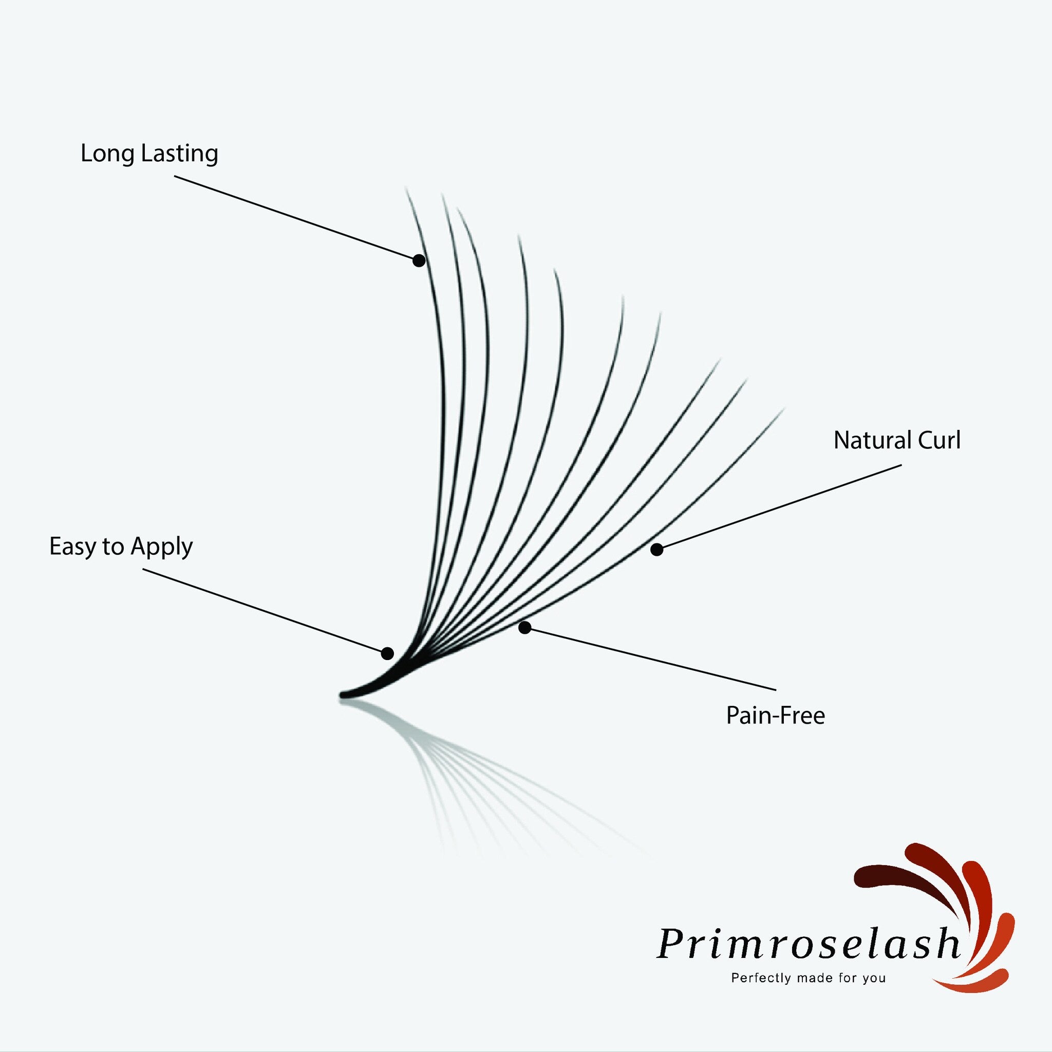 Eyelash extensions in black with natural curl, Primroselash brand logo, and text describing features