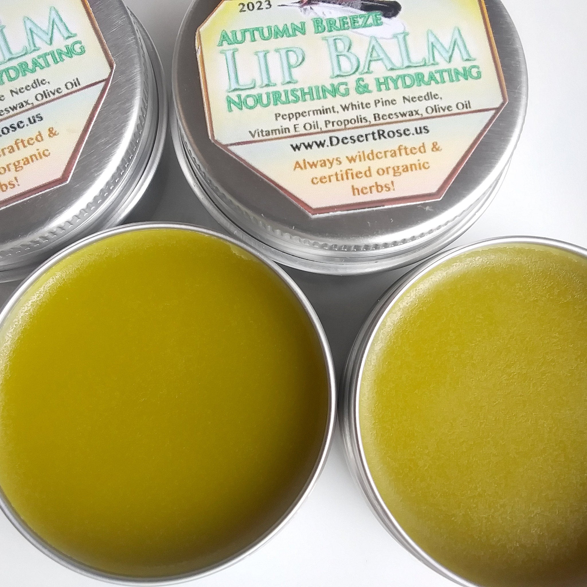 Lip balm in metal tins, green balm, Desert Rose branding visible