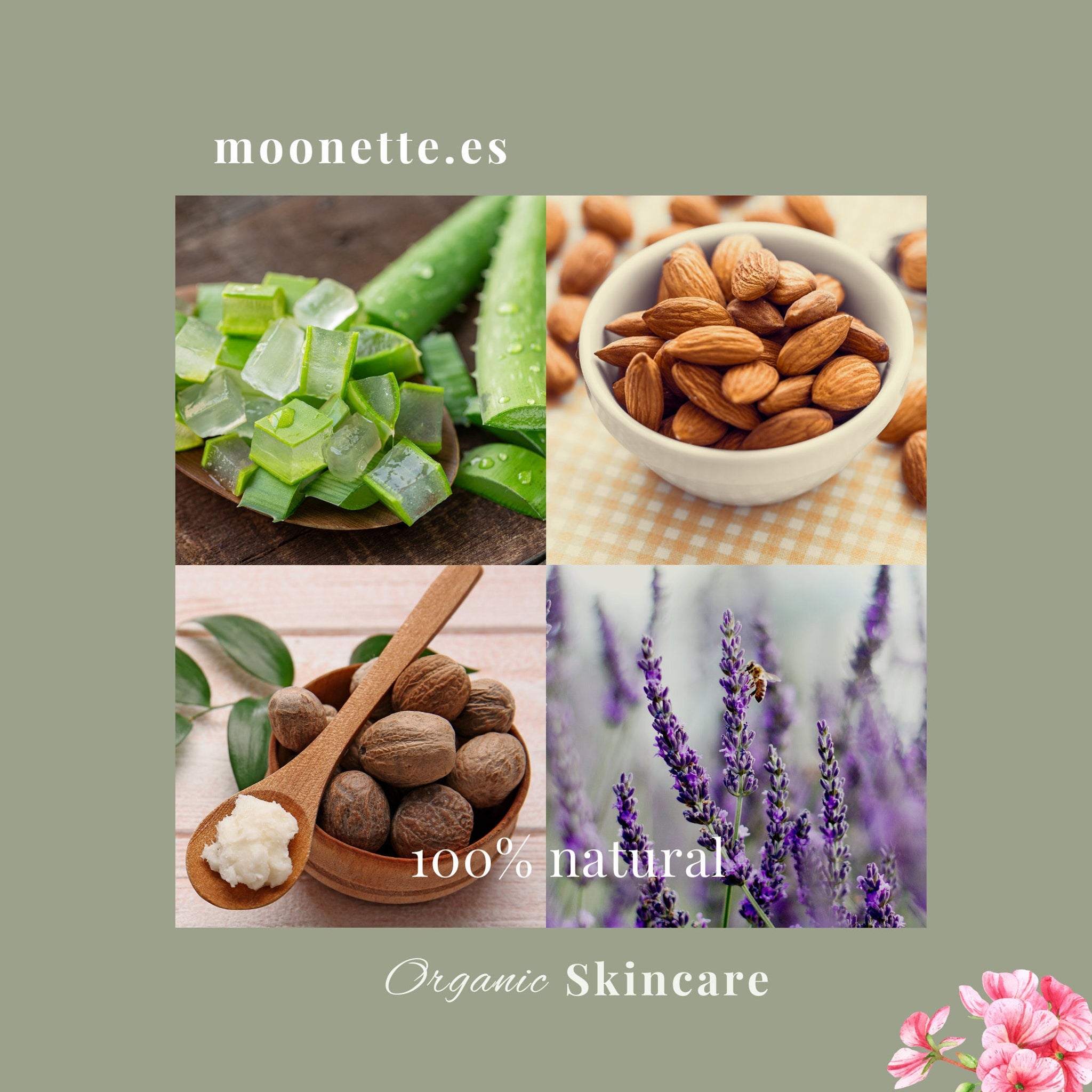 Organic skincare ingredients with green aloe, brown almonds, and purple lavender flowers