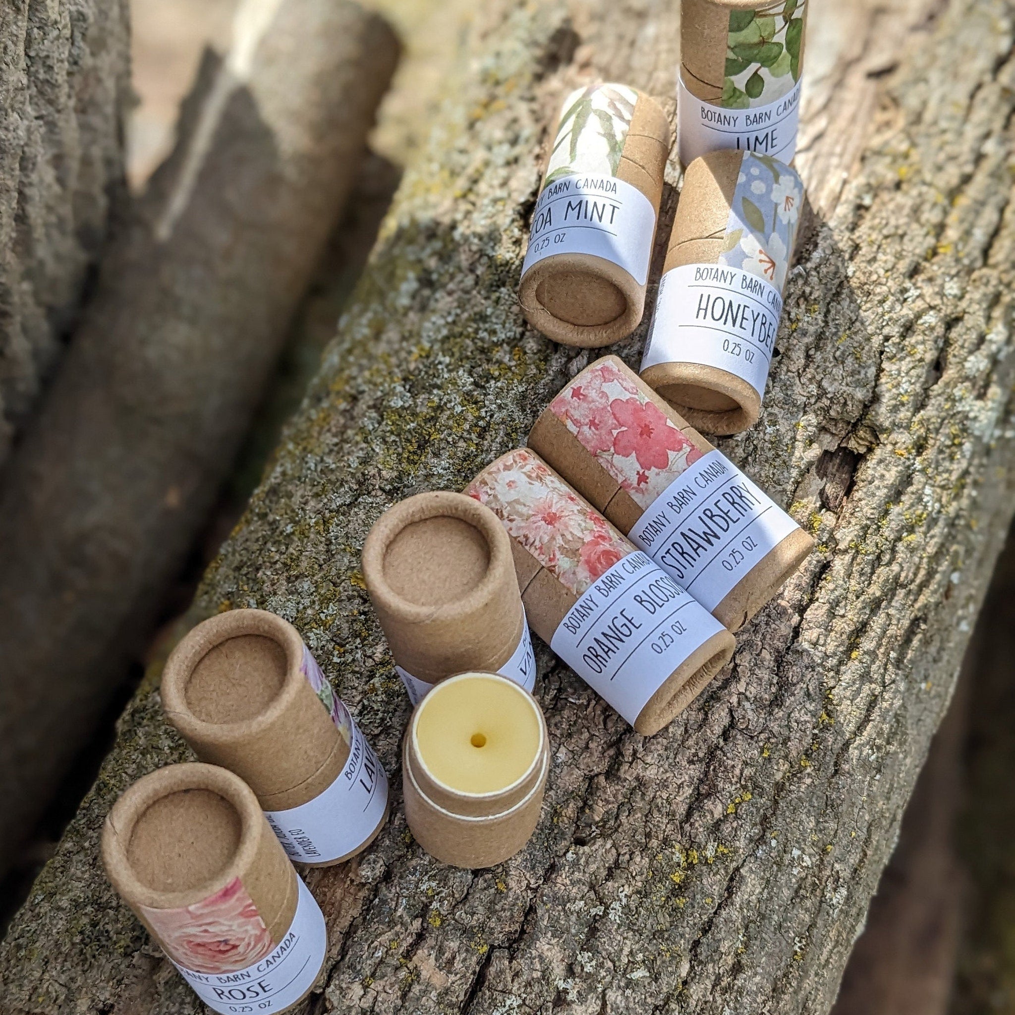 Lip balm tubes with floral patterns, Botany Barn Canada branding, and natural cardboard packaging on a tree trunk