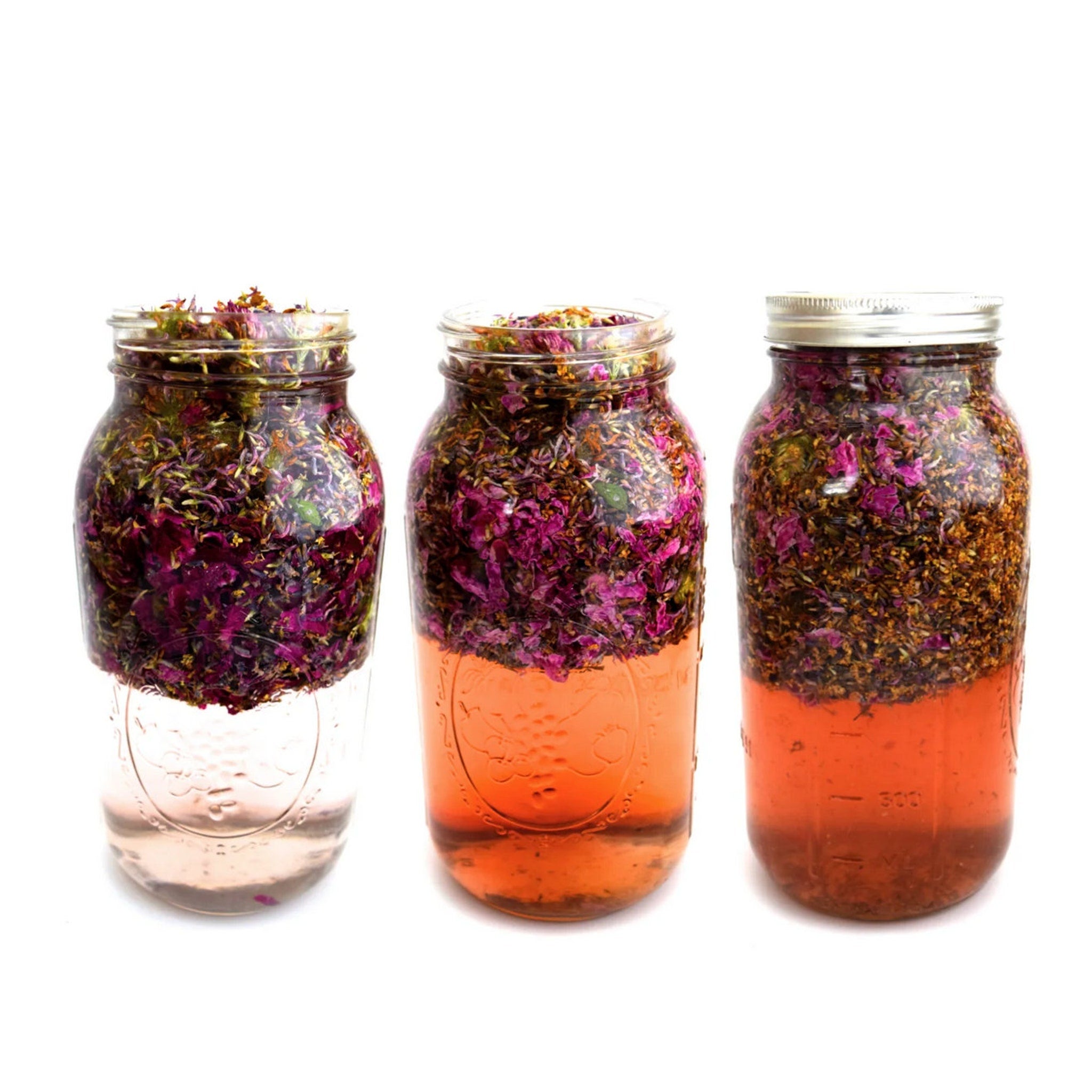 Herbal infusion jars with clear glass, pink and orange liquid, and colorful herbs inside