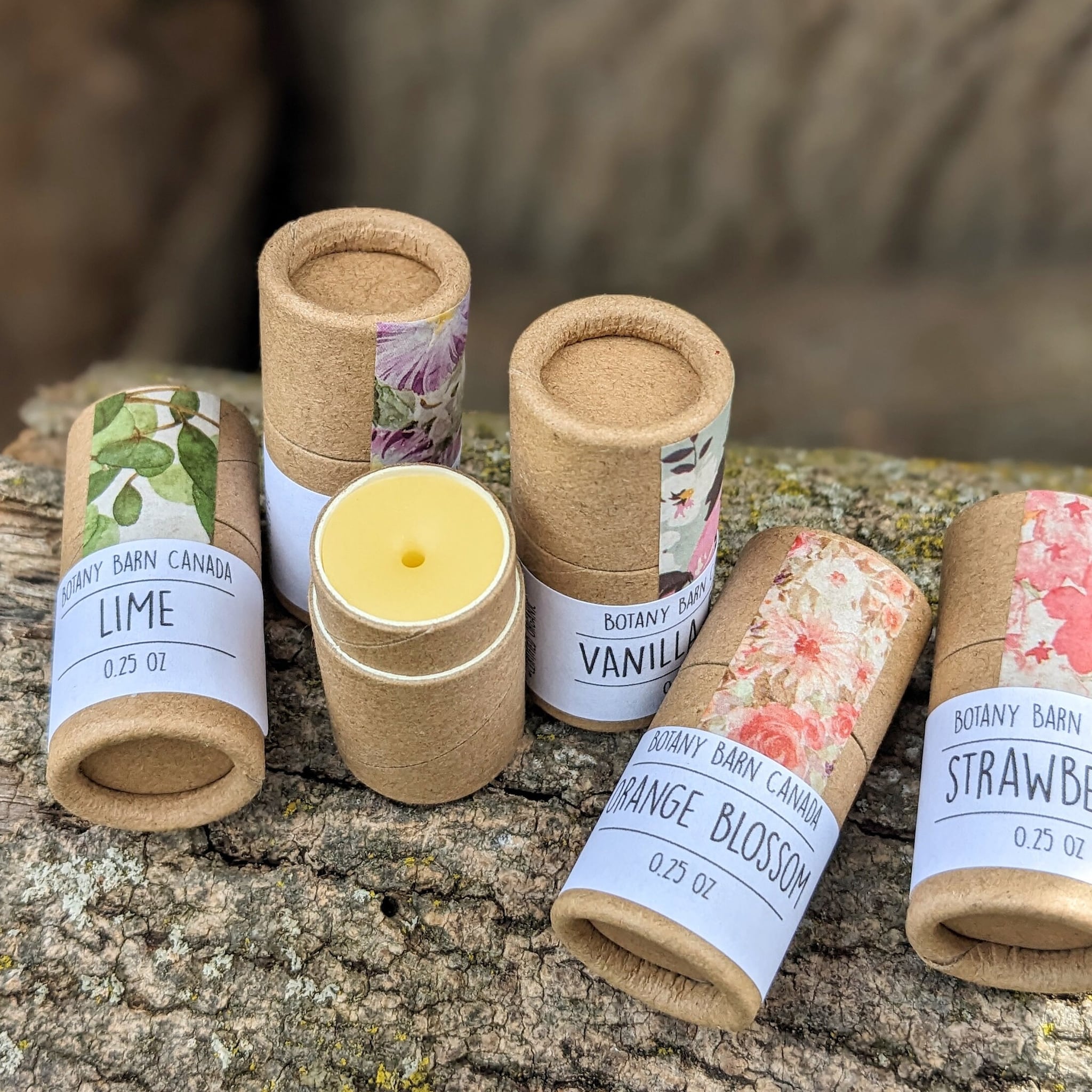 Lip balm tubes, cardboard material, floral pattern, Botany Barn Canada branding visible