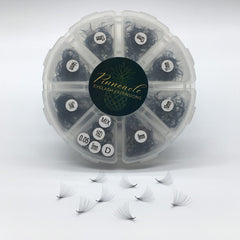 Eyelash extensions in black with Pinnacle branding, displayed in a clear plastic organizer, and individual fans