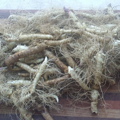 Root vegetables with white, brown, and beige colors, covered in thin roots, on a wooden surface.