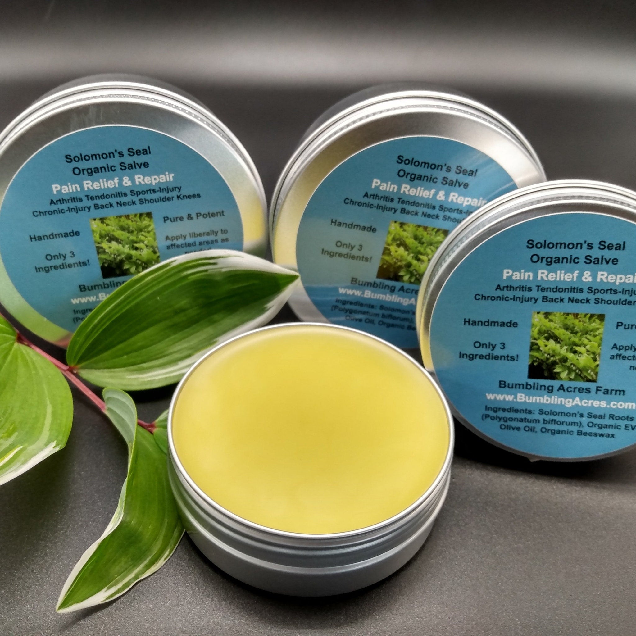 Organic salve in silver tin with yellow balm, green and white leaves, and blue labels with text from Bumbling Acres Farm